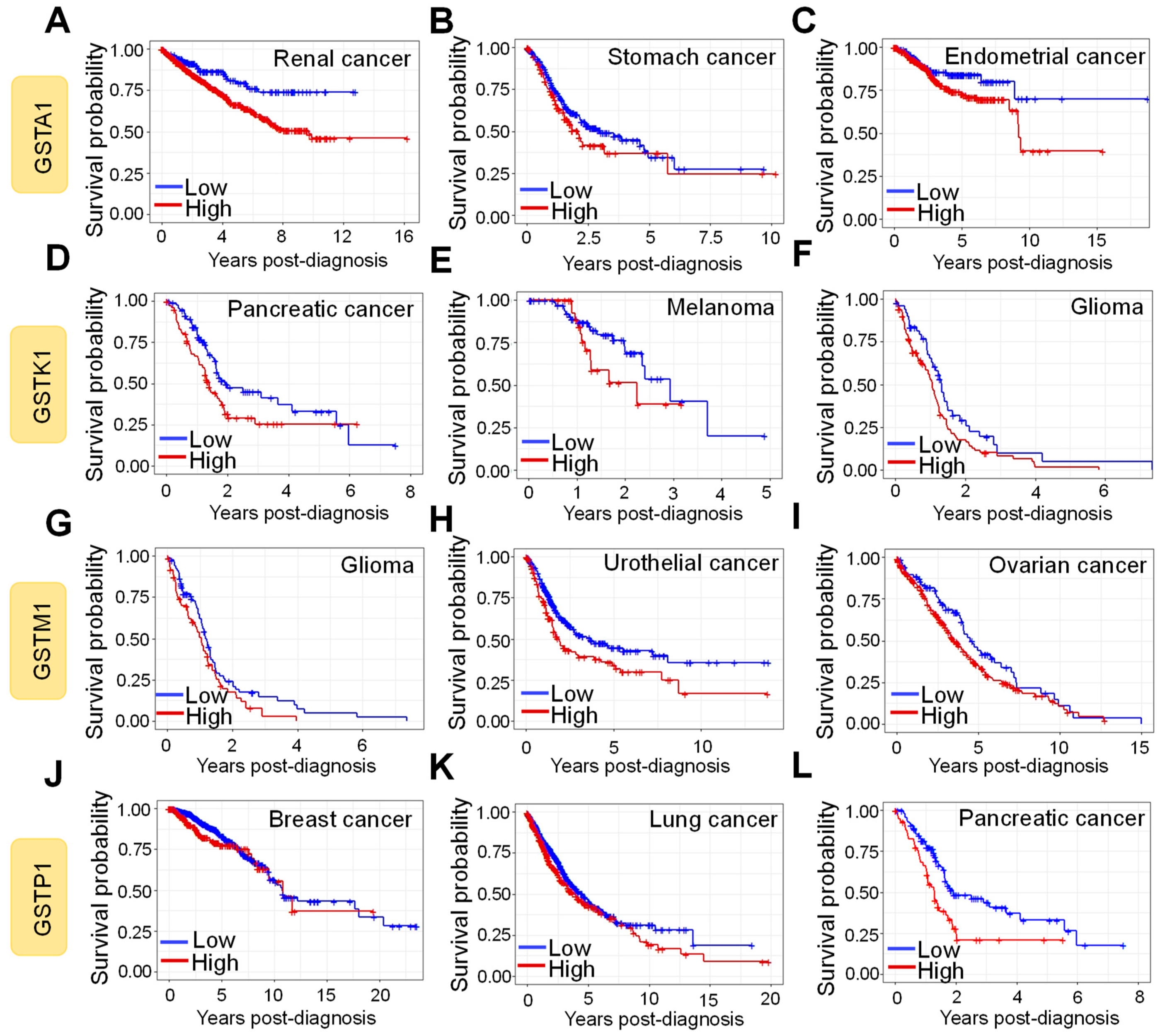 Antioxidants 10 00701 g008