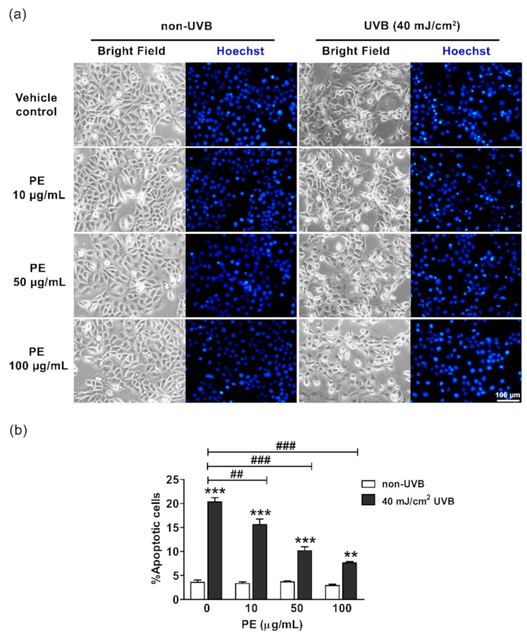 Antioxidants 10 00703 g003 Antioxidants 10 00703 g003