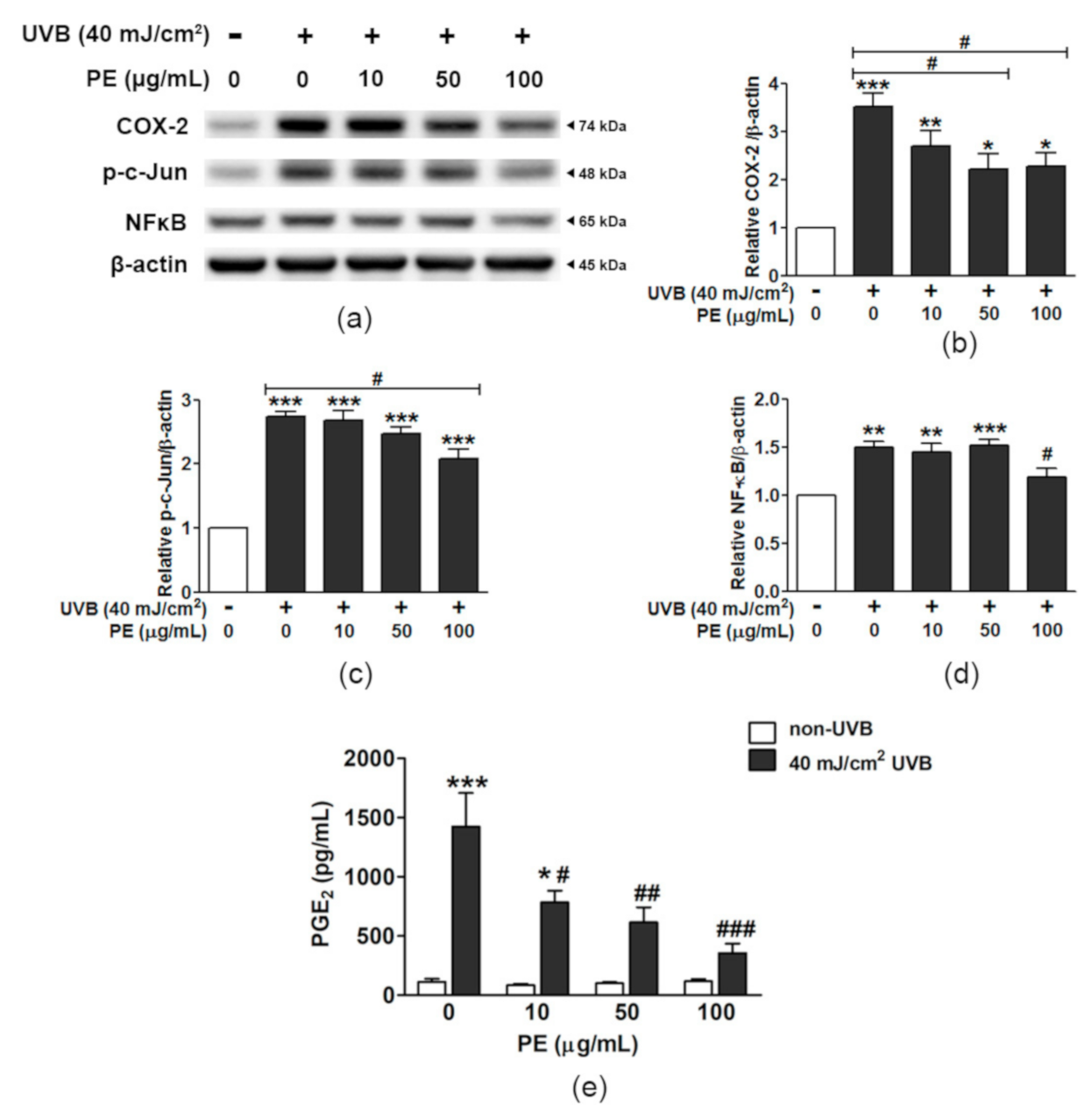 Antioxidants 10 00703 g005 Antioxidants 10 00703 g005