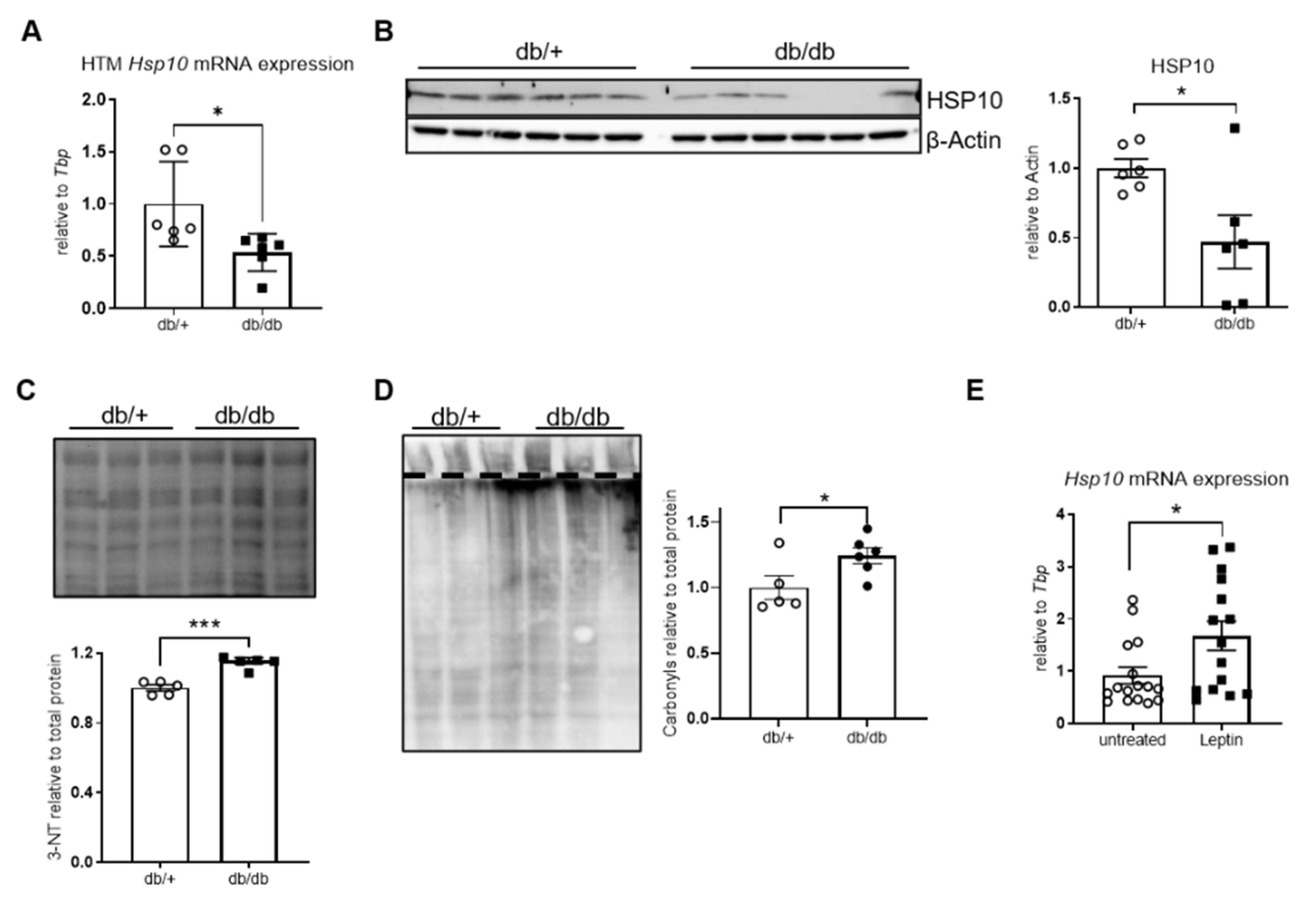 Antioxidants 10 00711 g001 Antioxidants 10 00711 g001
