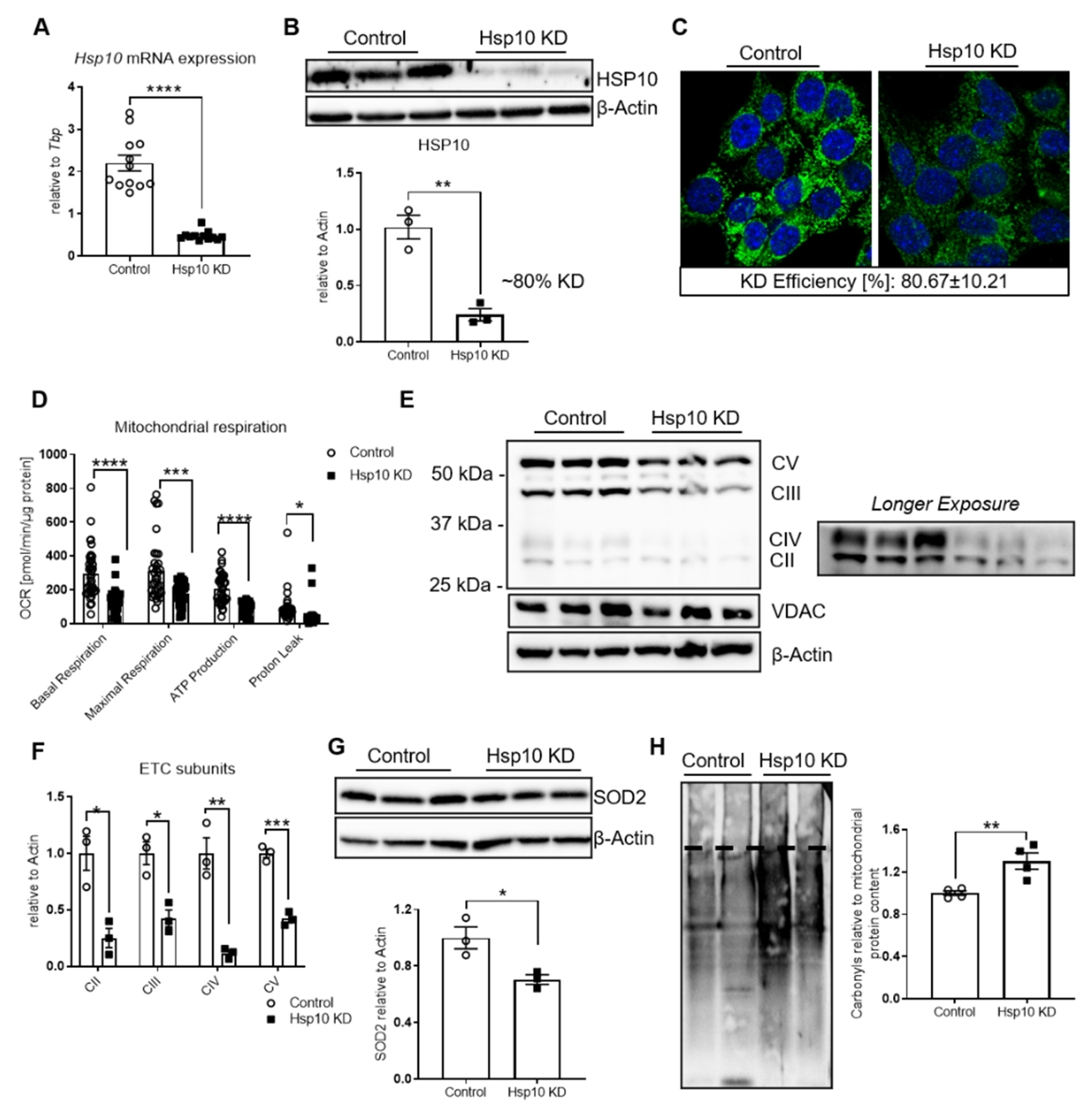 Antioxidants 10 00711 g002 Antioxidants 10 00711 g002