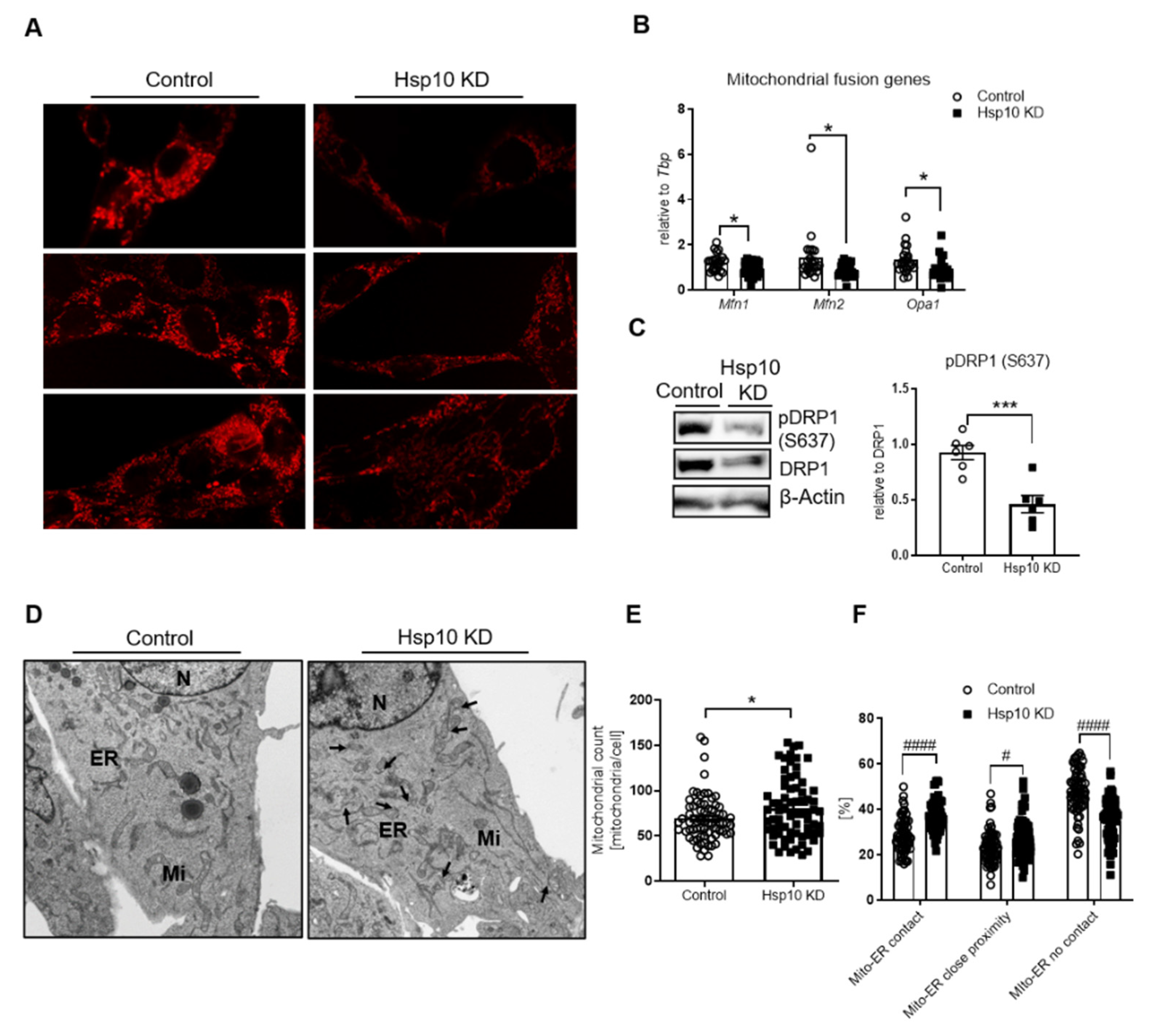 Antioxidants 10 00711 g003 Antioxidants 10 00711 g003