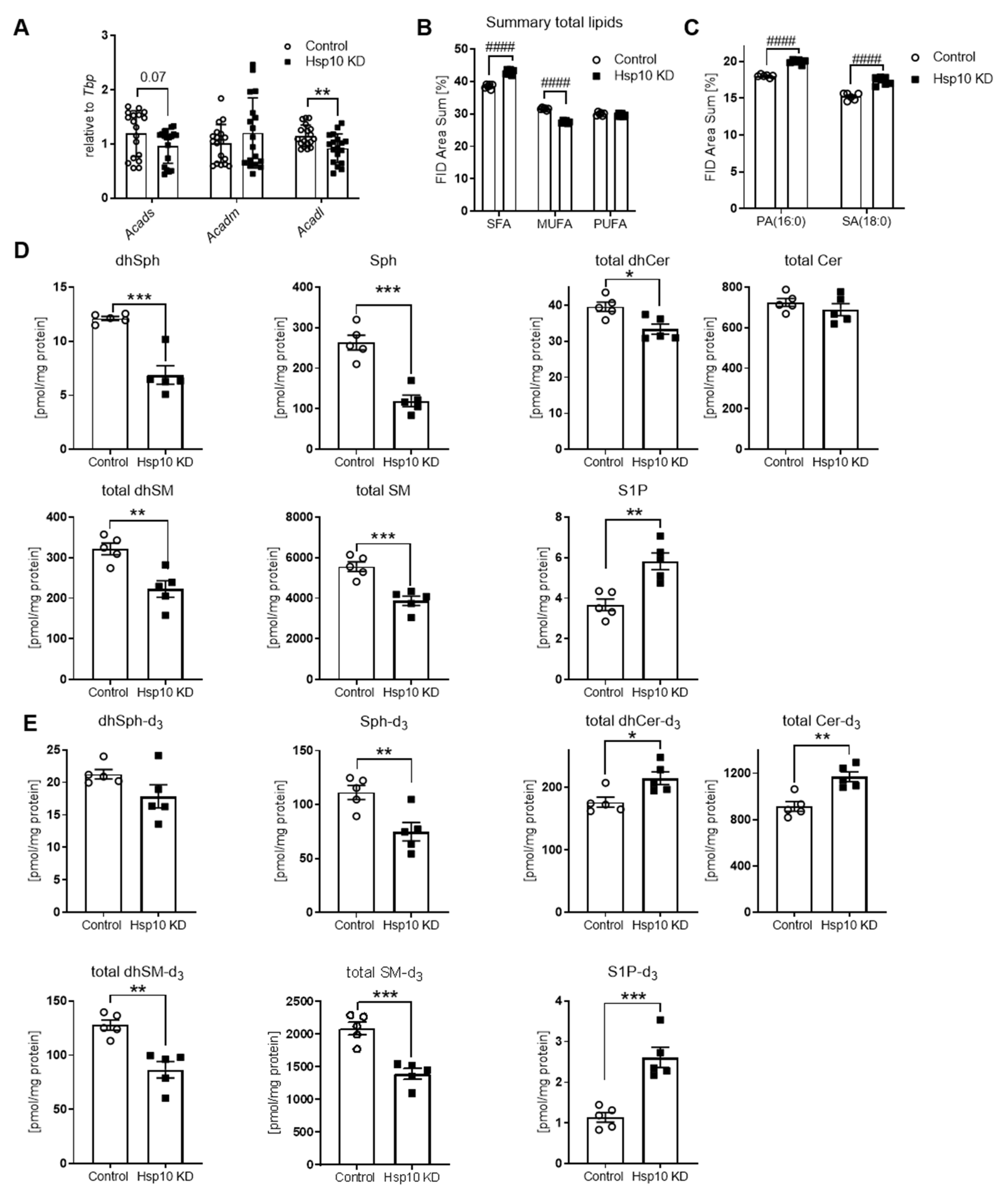 Antioxidants 10 00711 g004 Antioxidants 10 00711 g004