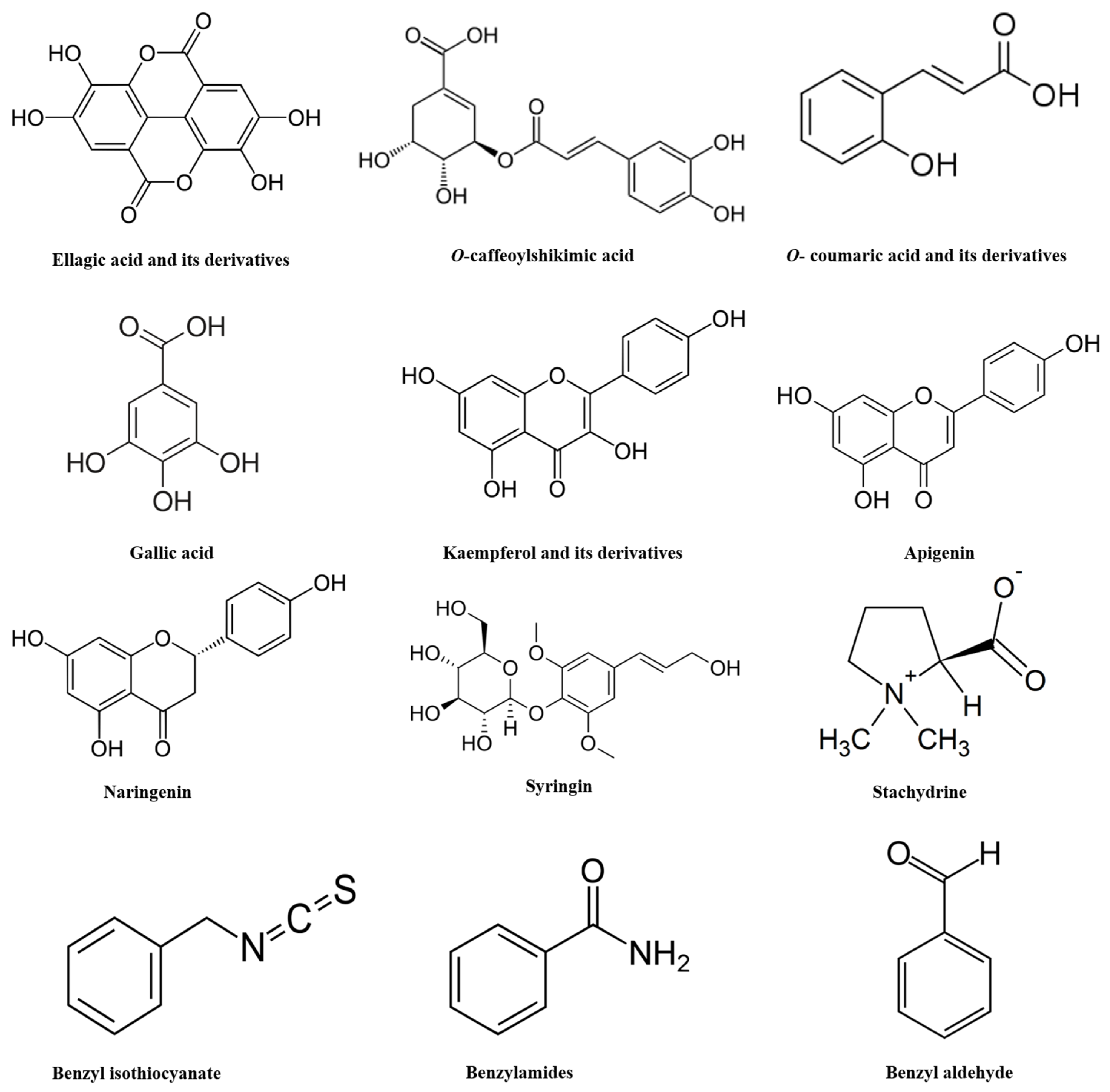 Antioxidants 10 00712 g001
