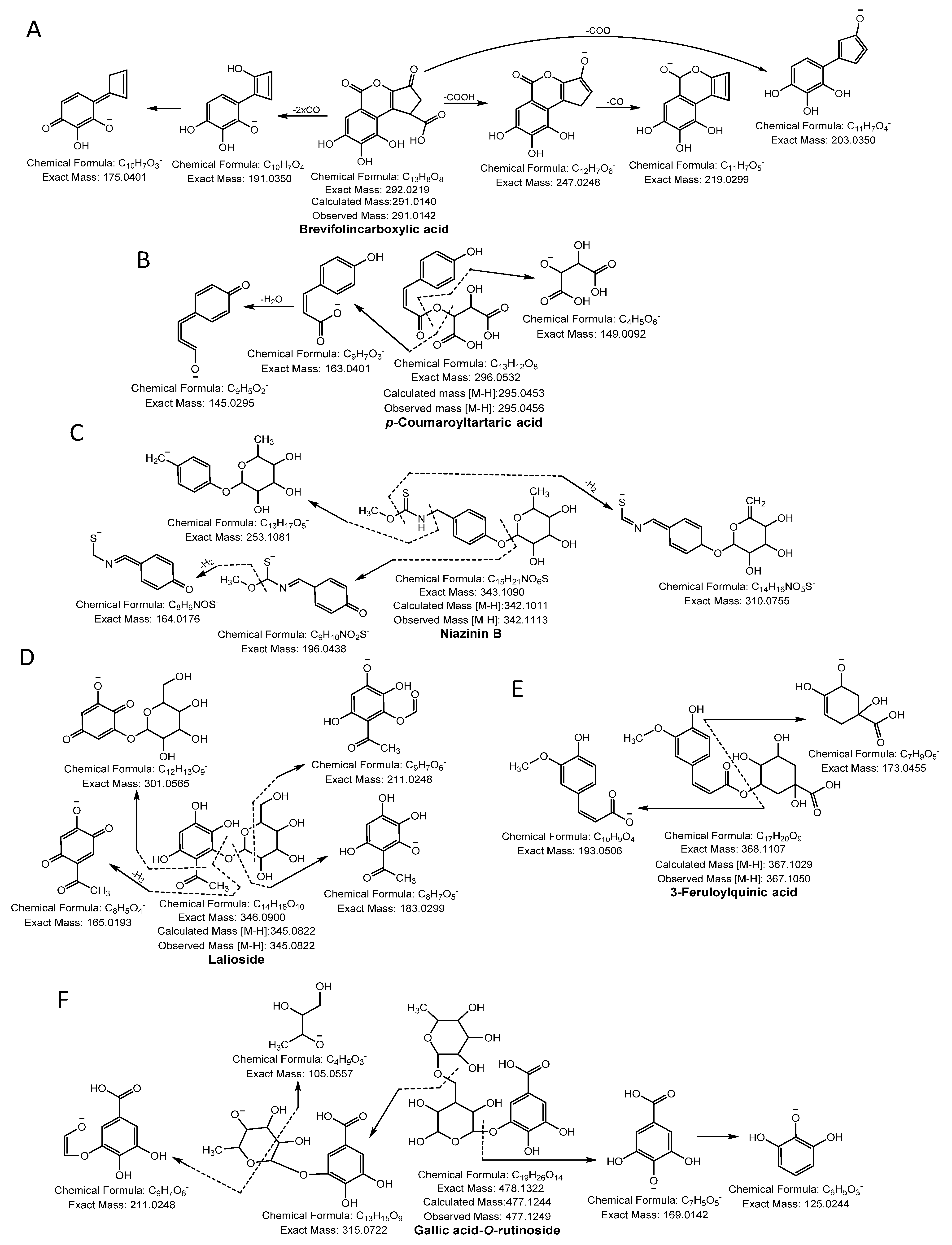 Antioxidants 10 00719 g001 Antioxidants 10 00719 g001