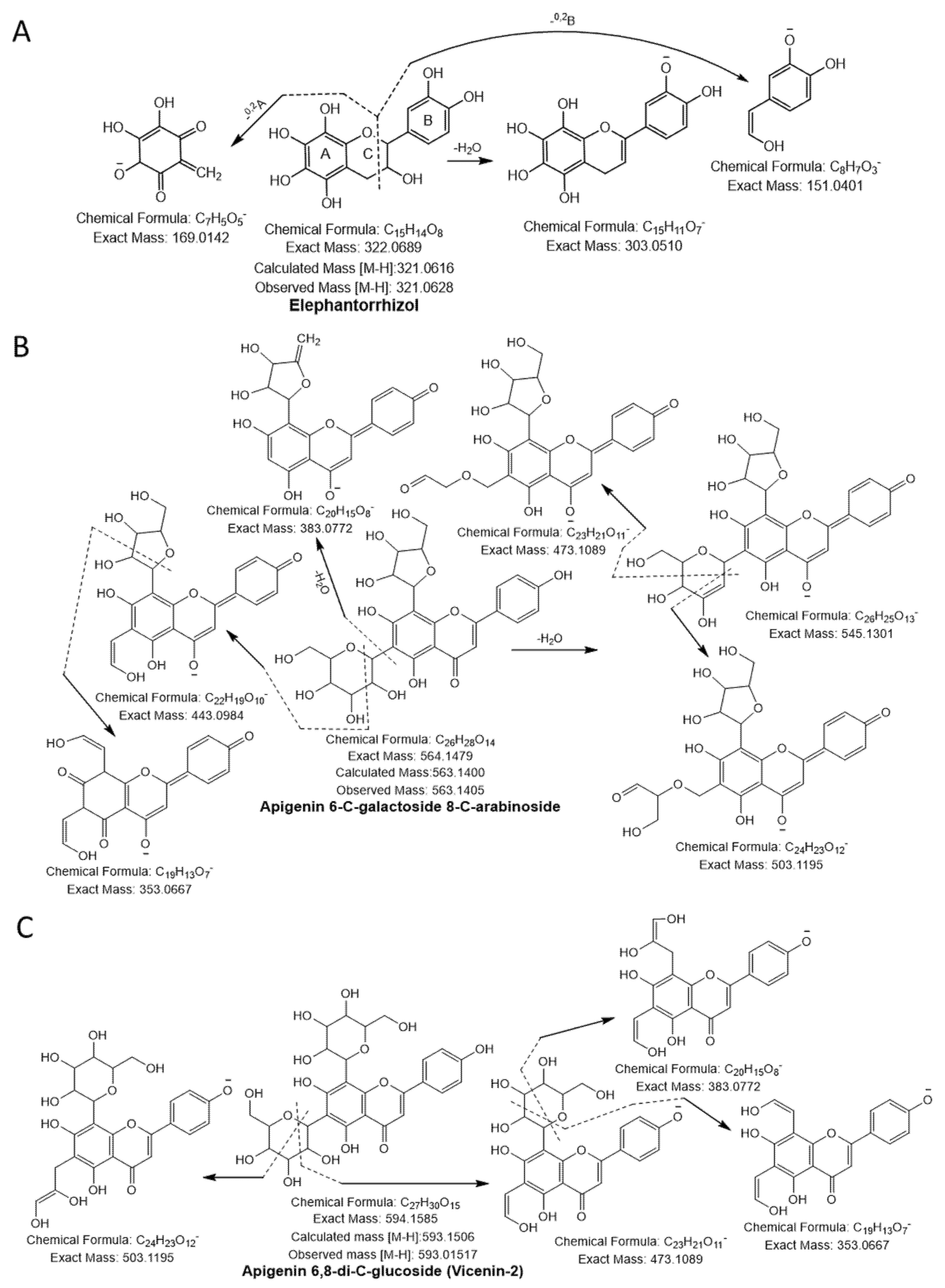 Antioxidants 10 00719 g002 Antioxidants 10 00719 g002