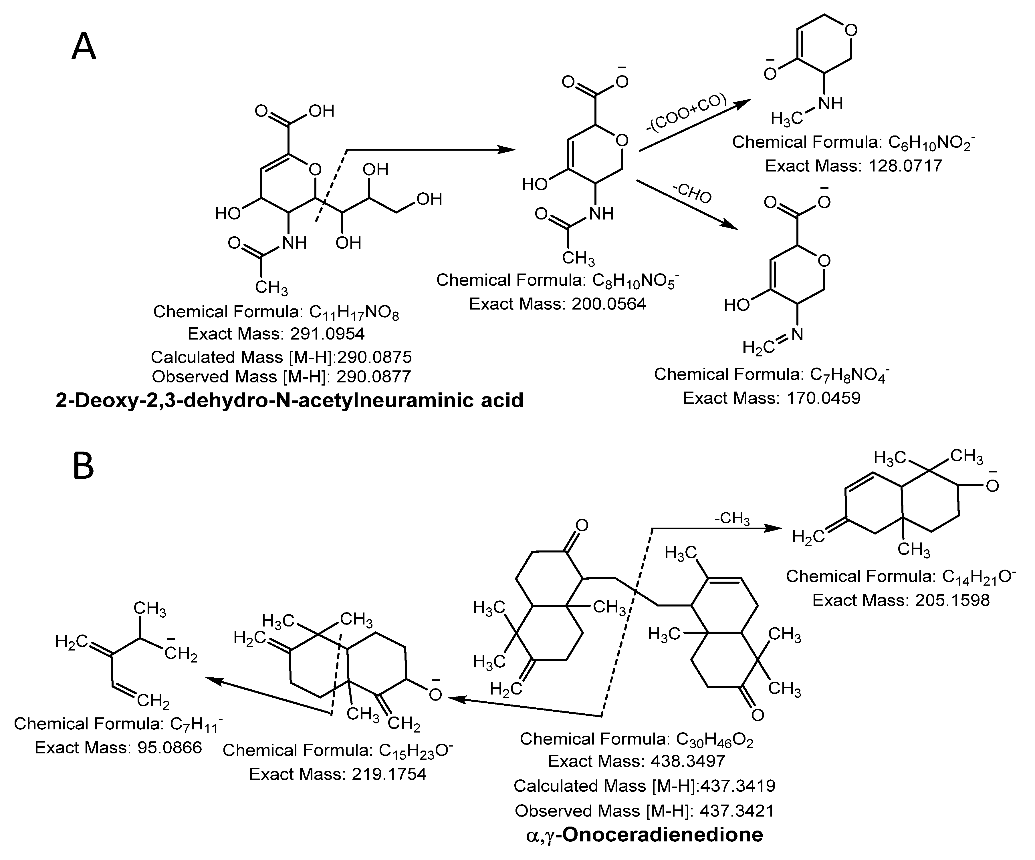 Antioxidants 10 00719 g003 Antioxidants 10 00719 g003