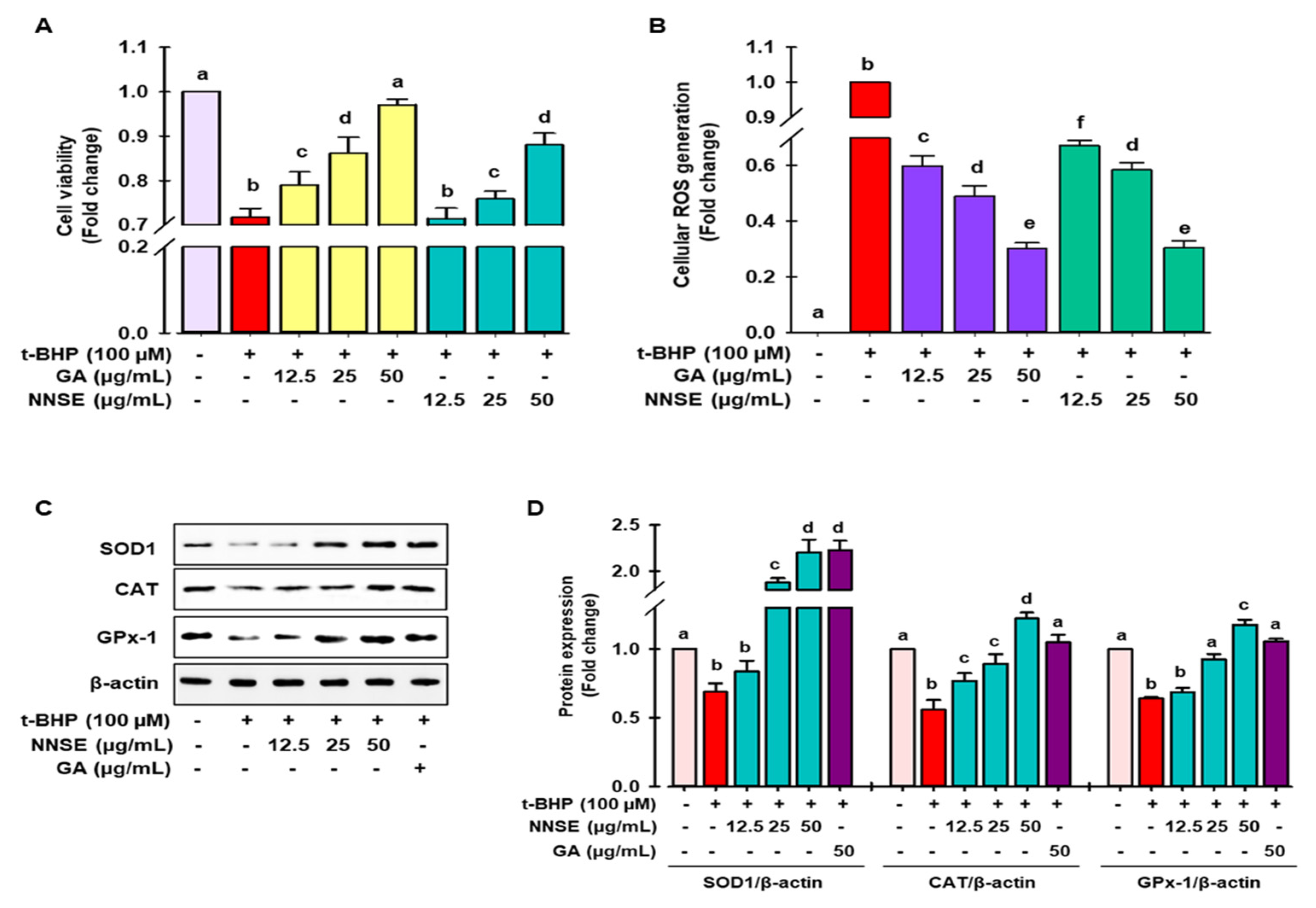 Antioxidants 10 00719 g005 Antioxidants 10 00719 g005