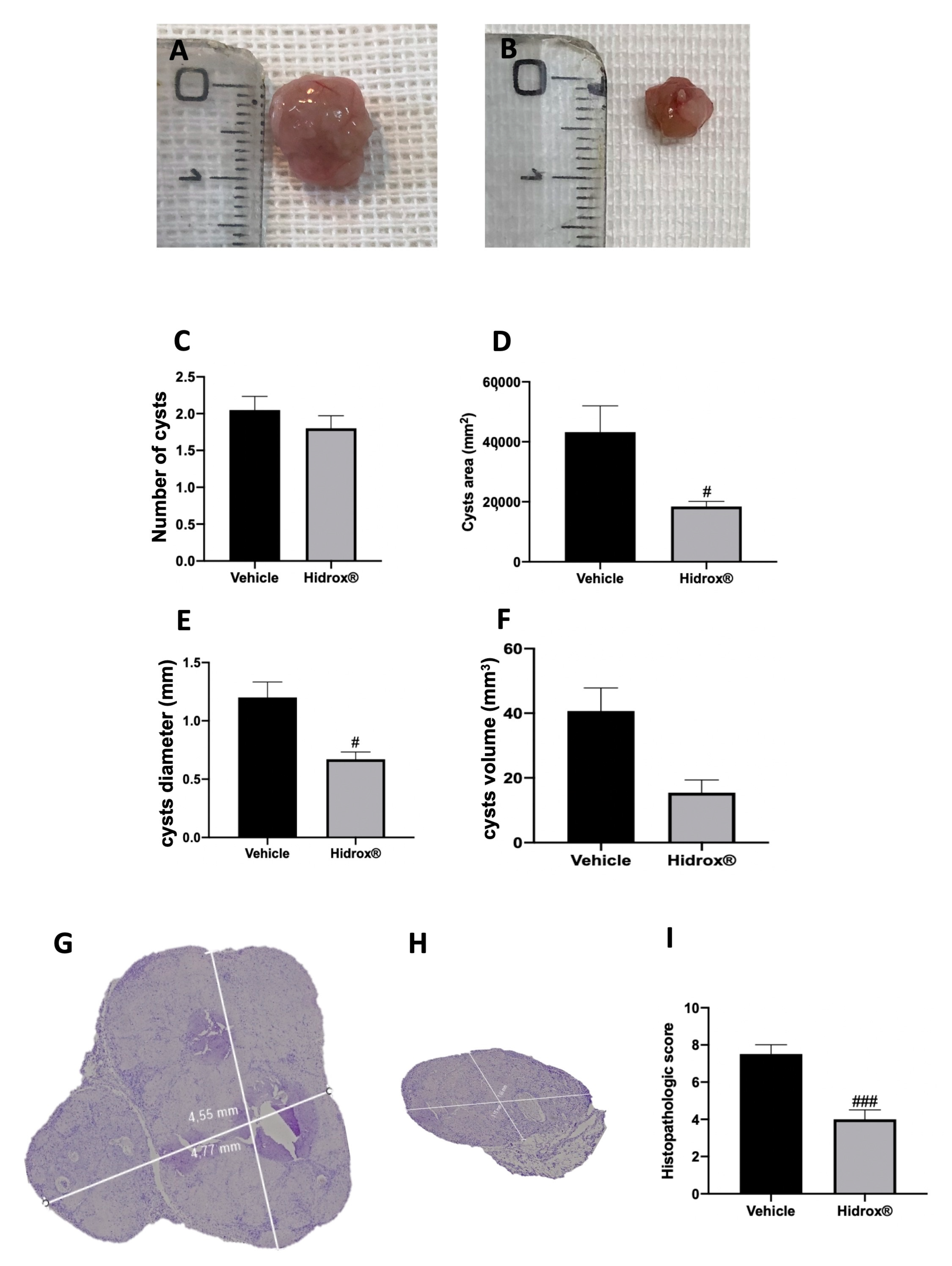 Antioxidants 10 00720 g001