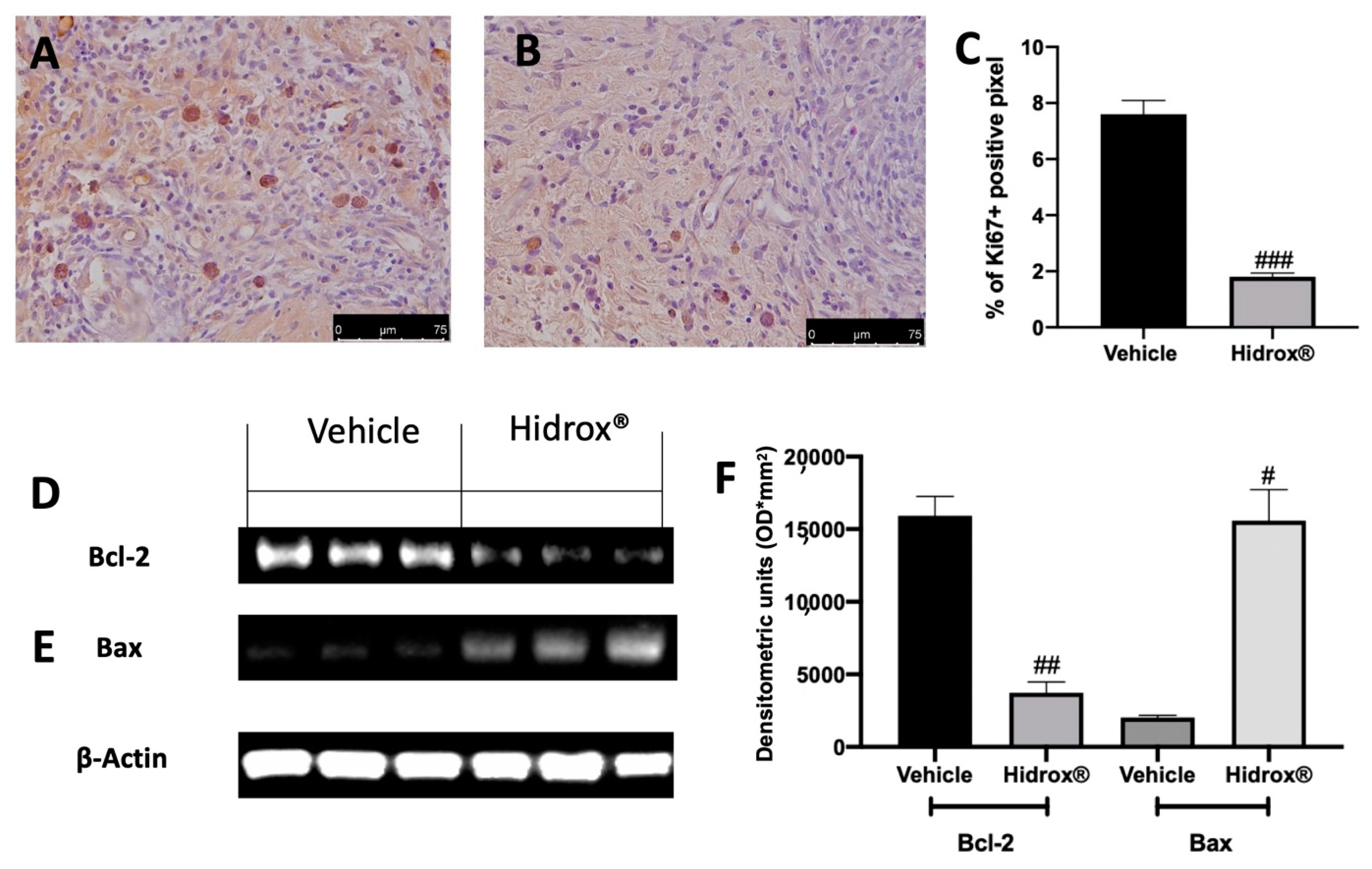Antioxidants 10 00720 g003