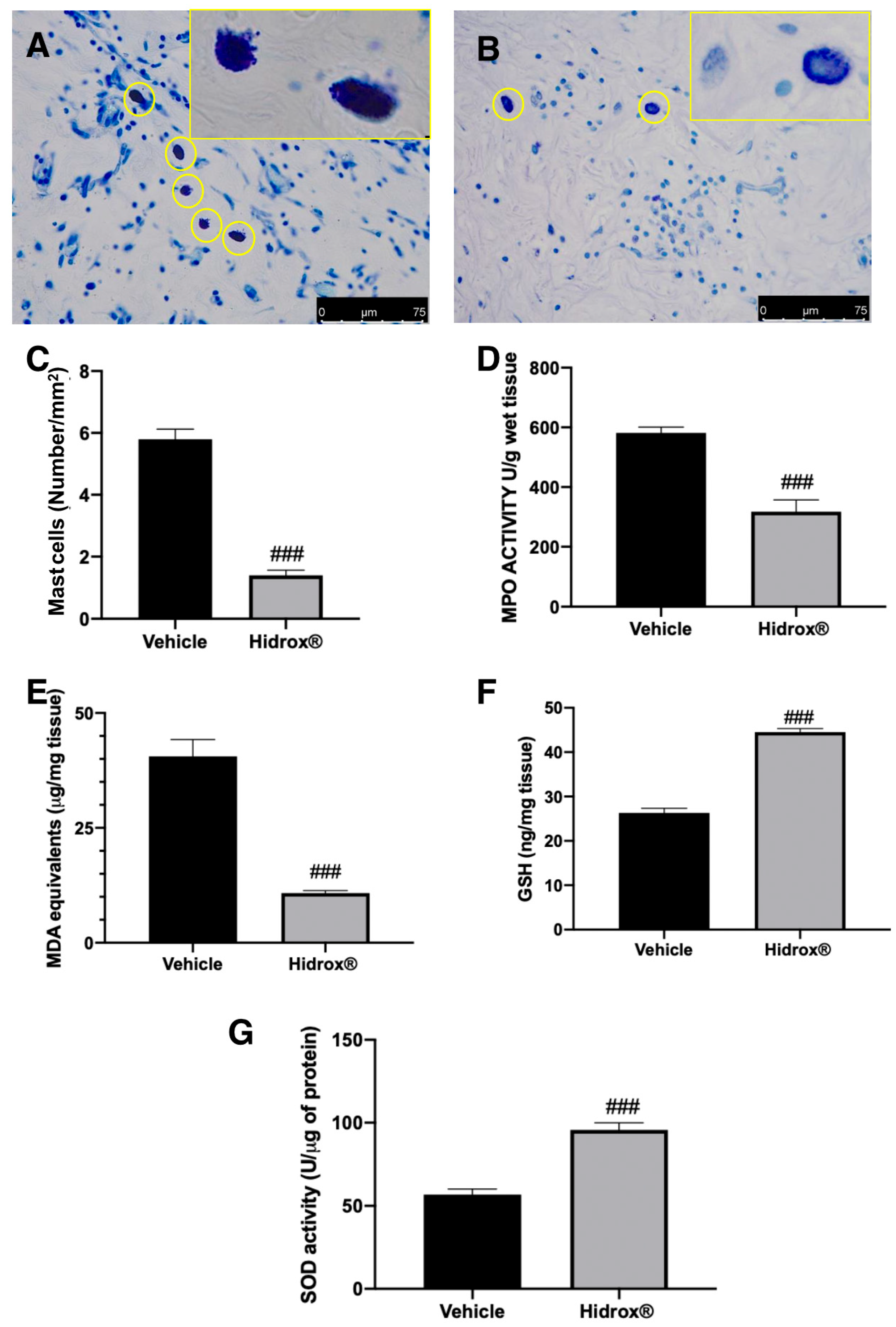 Antioxidants 10 00720 g004