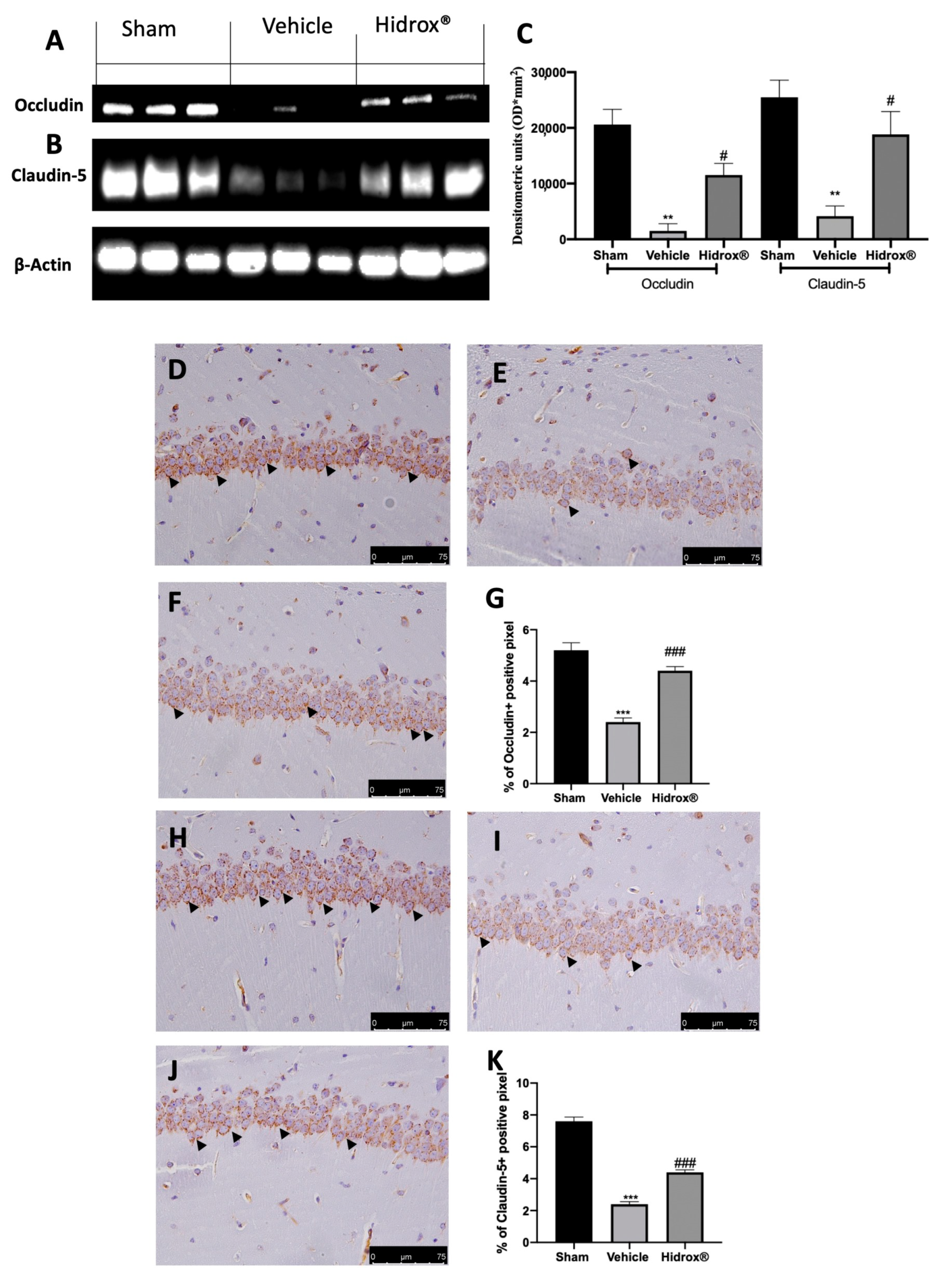 Antioxidants 10 00720 g007