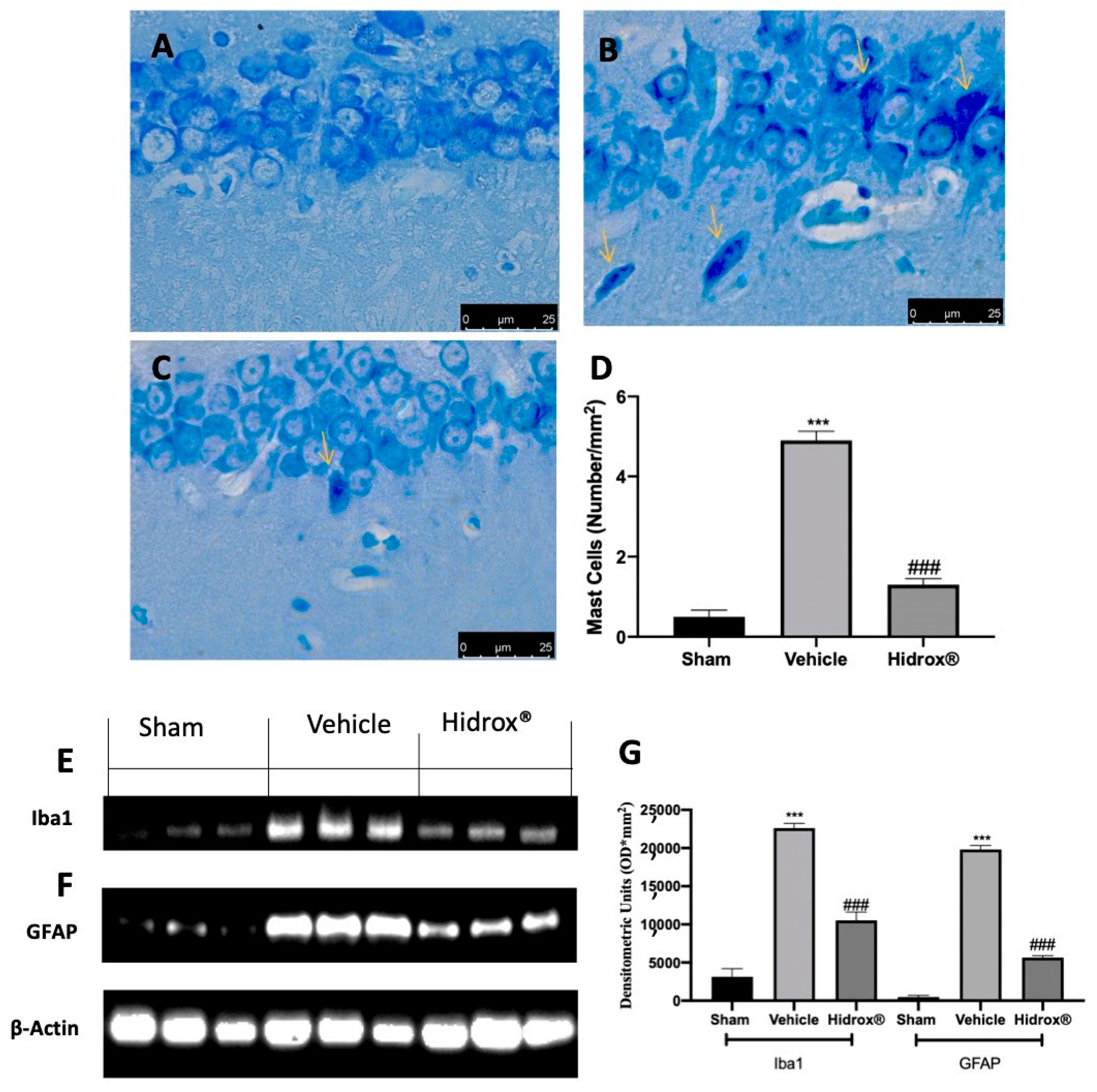 Antioxidants 10 00720 g008
