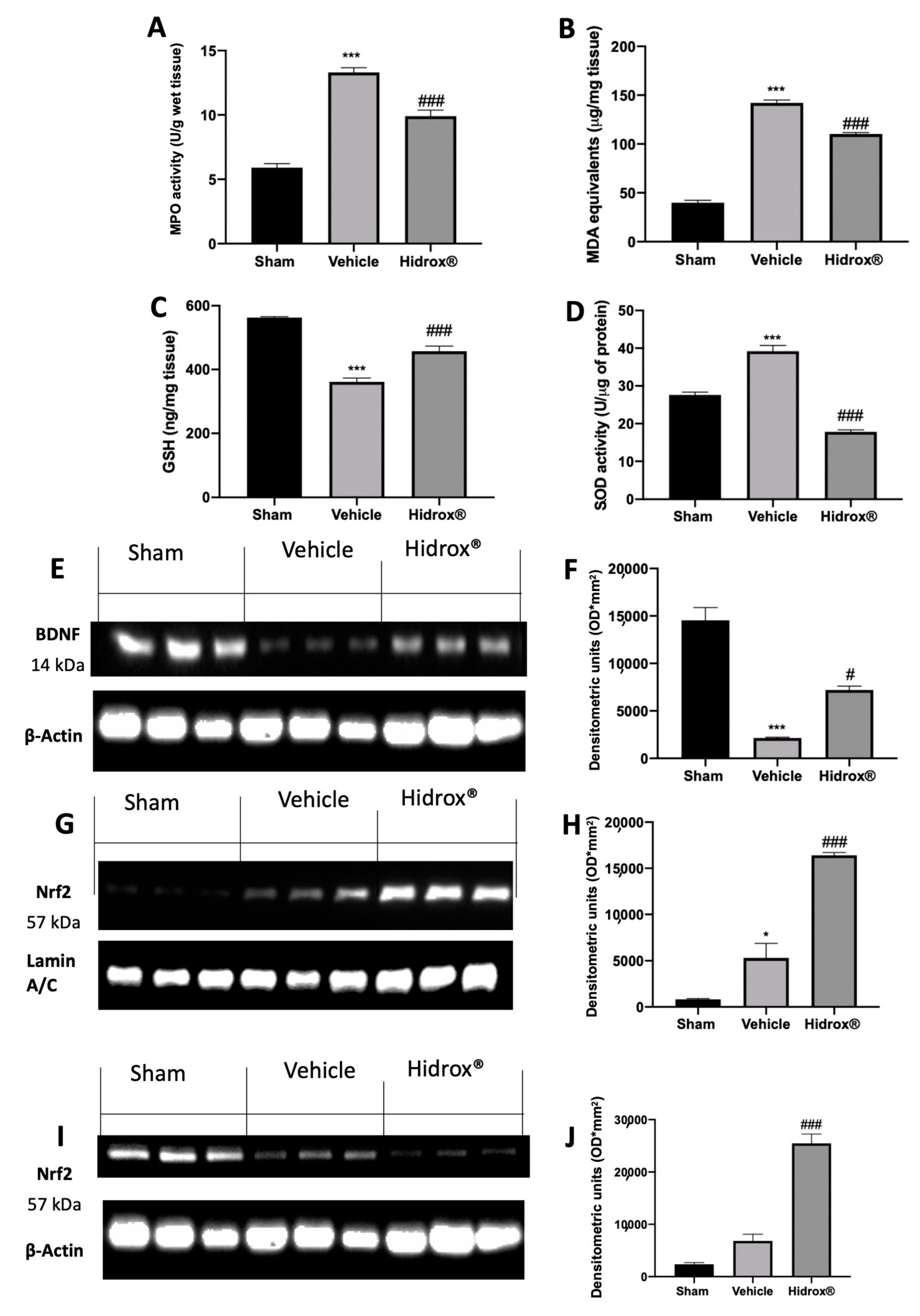 Antioxidants 10 00720 g009