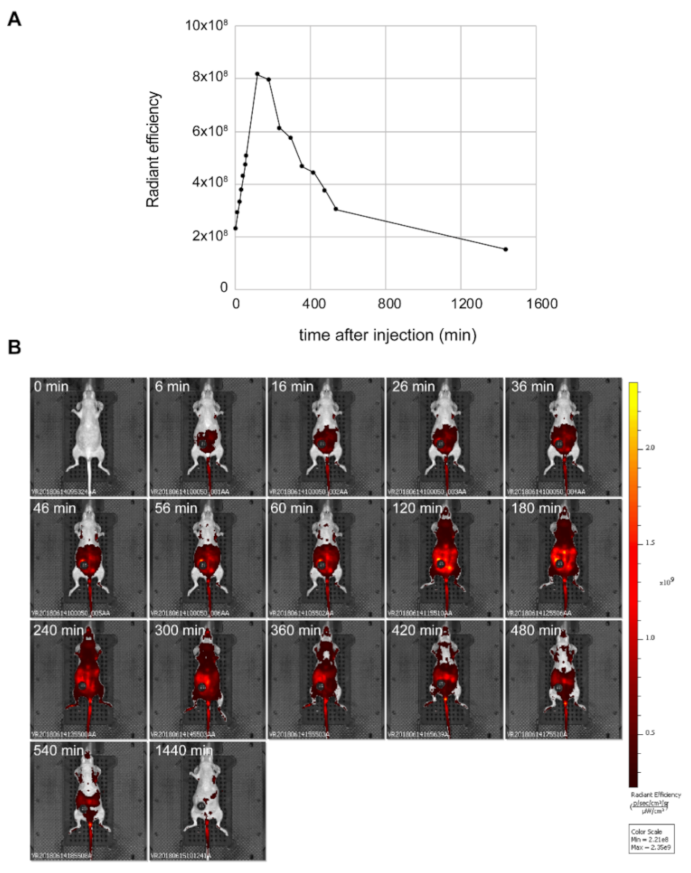 Antioxidants 10 00723 g002 Antioxidants 10 00723 g002