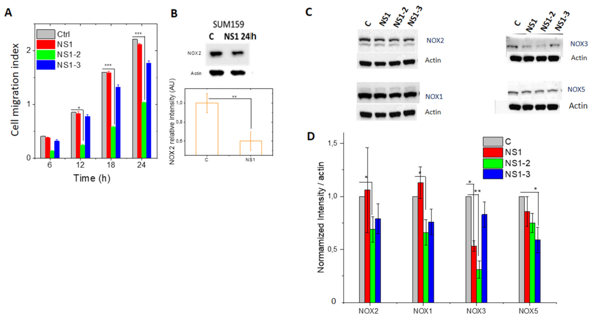 Antioxidants 10 00723 g006 Antioxidants 10 00723 g006