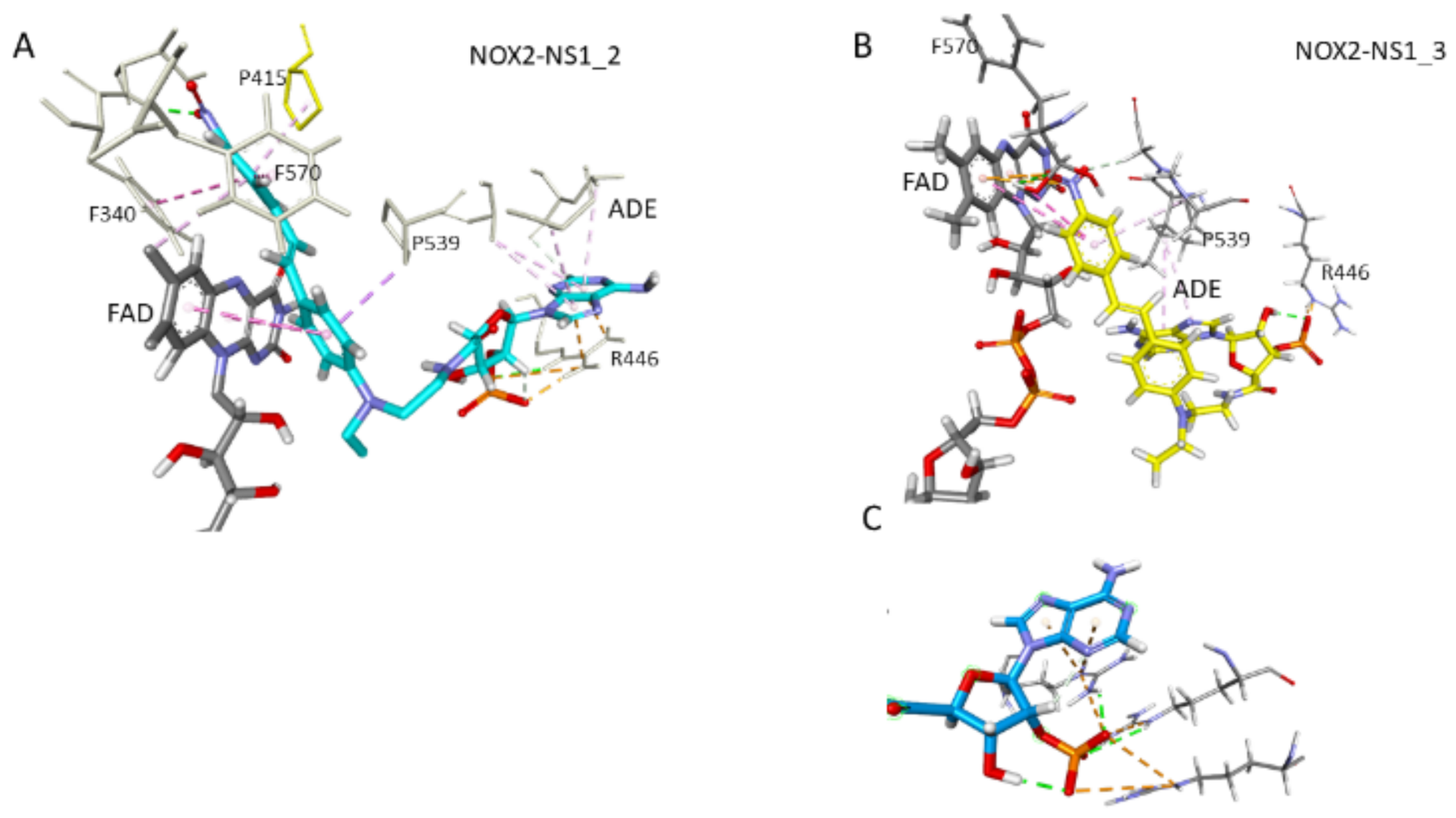Antioxidants 10 00723 g008 Antioxidants 10 00723 g008