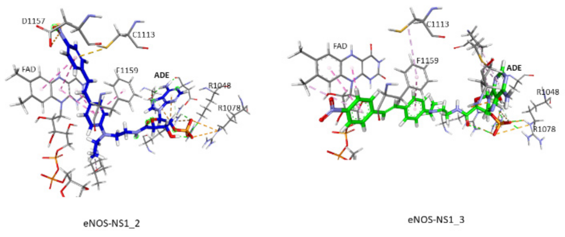 Antioxidants 10 00723 g009 Antioxidants 10 00723 g009