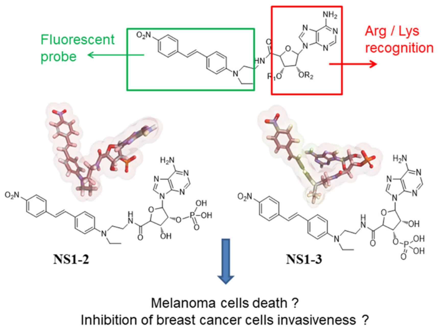 Antioxidants 10 00723 sch001 Antioxidants 10 00723 sch001