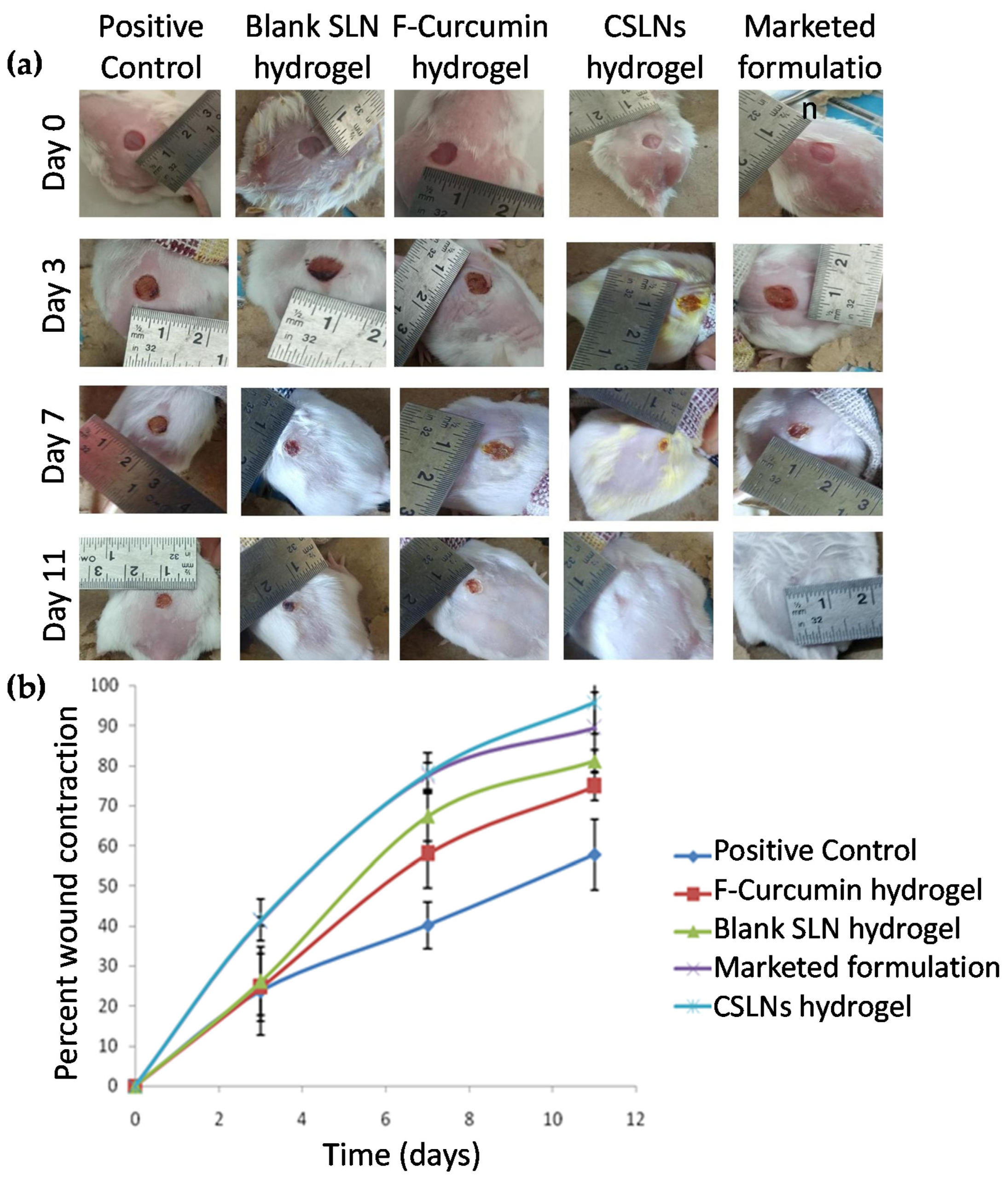 Antioxidants 10 00725 g007