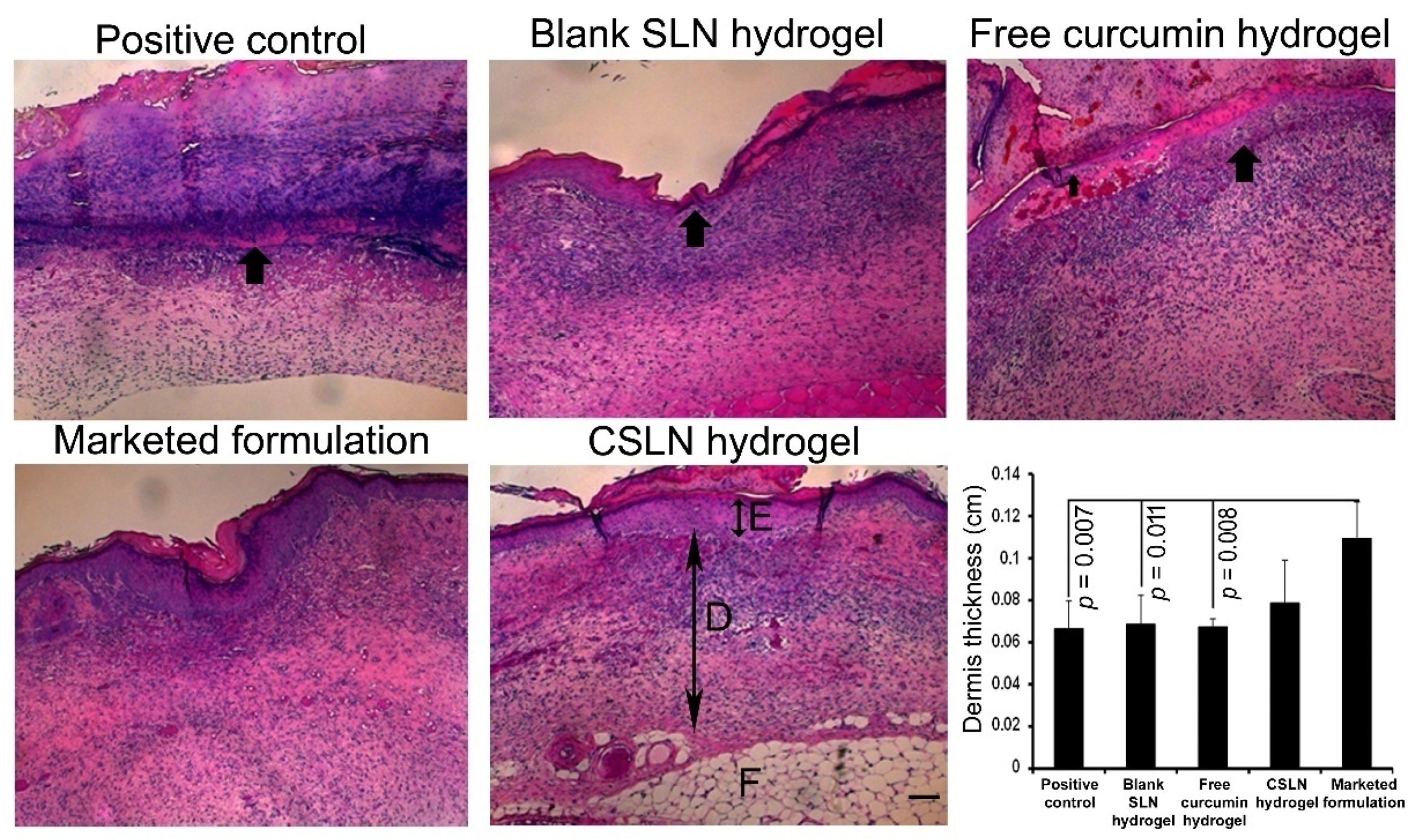 Antioxidants 10 00725 g010