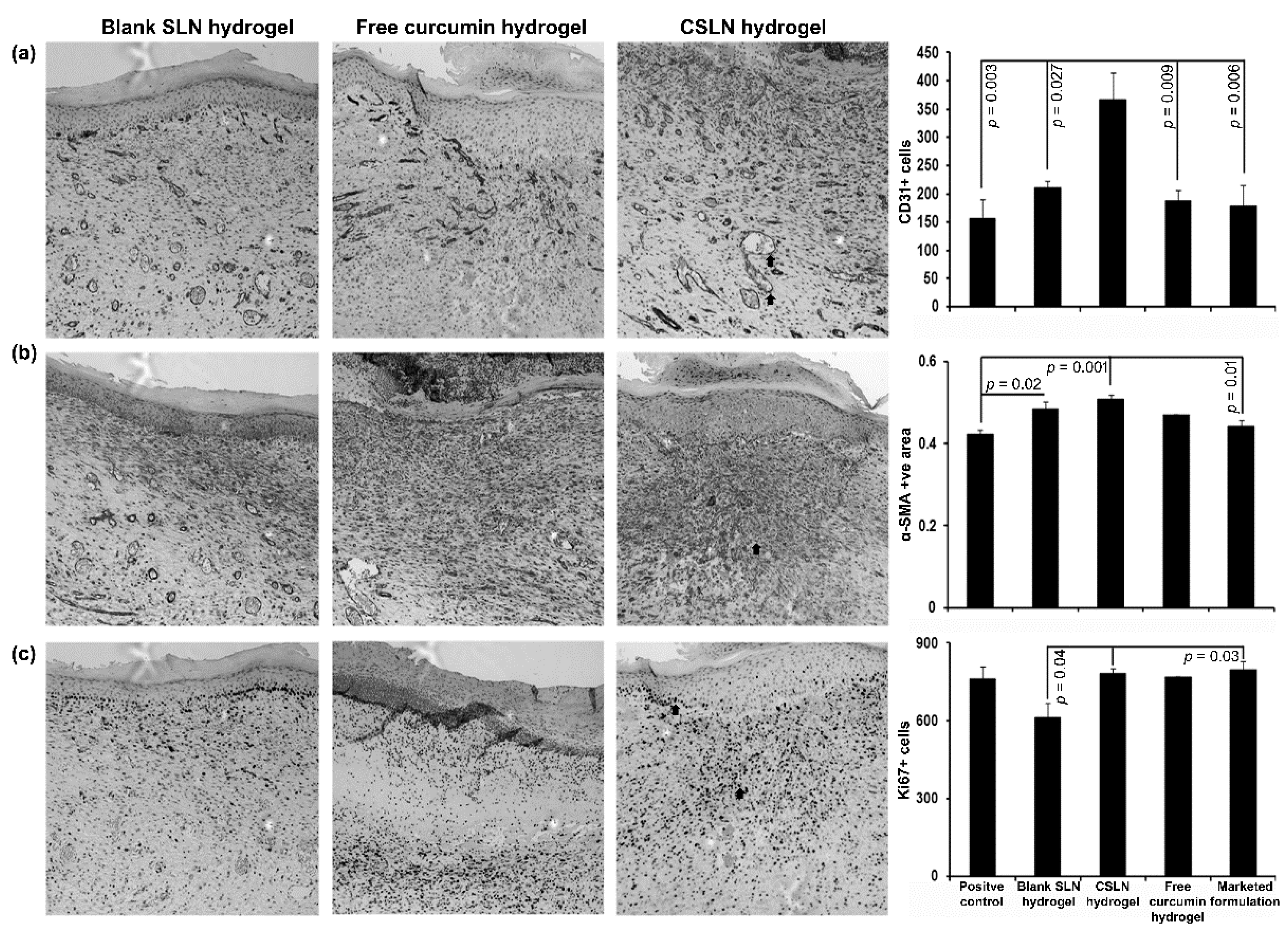 Antioxidants 10 00725 g011