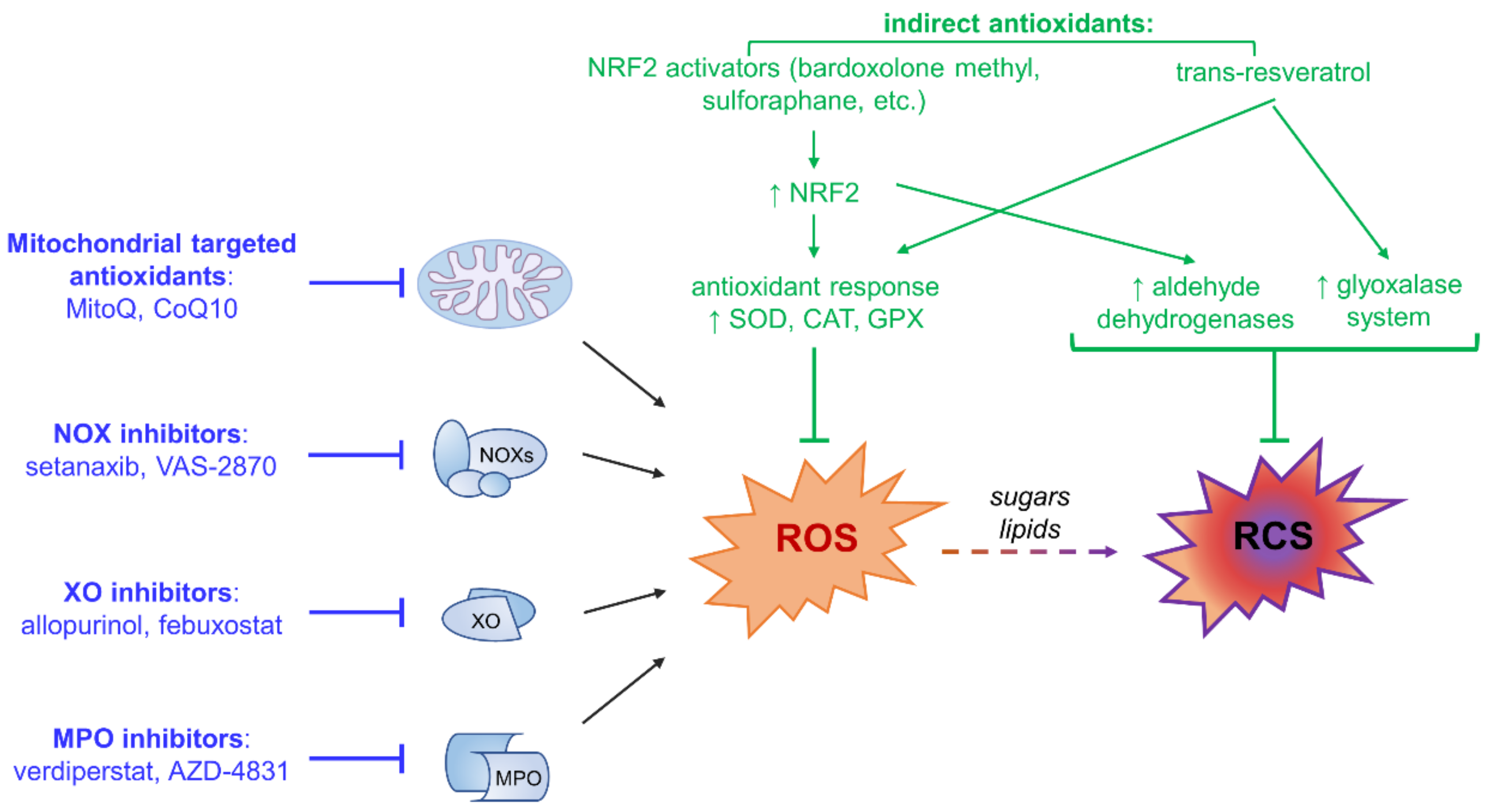 Diabetic Complications and Oxidative Stress: A 20-Year