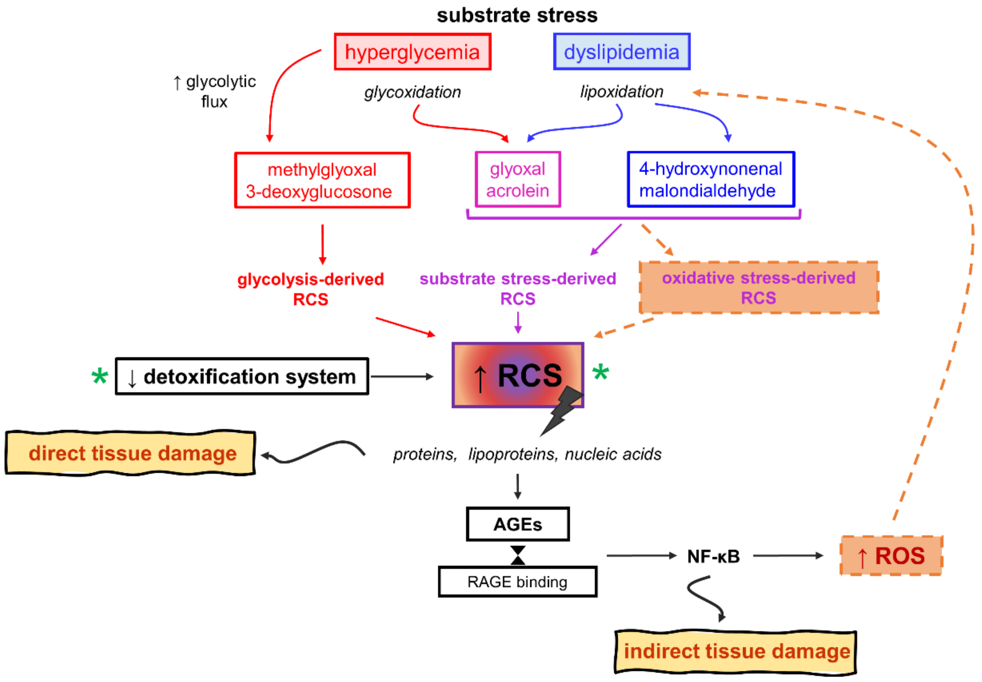 Diabetic Complications and Oxidative Stress: A 20-Year