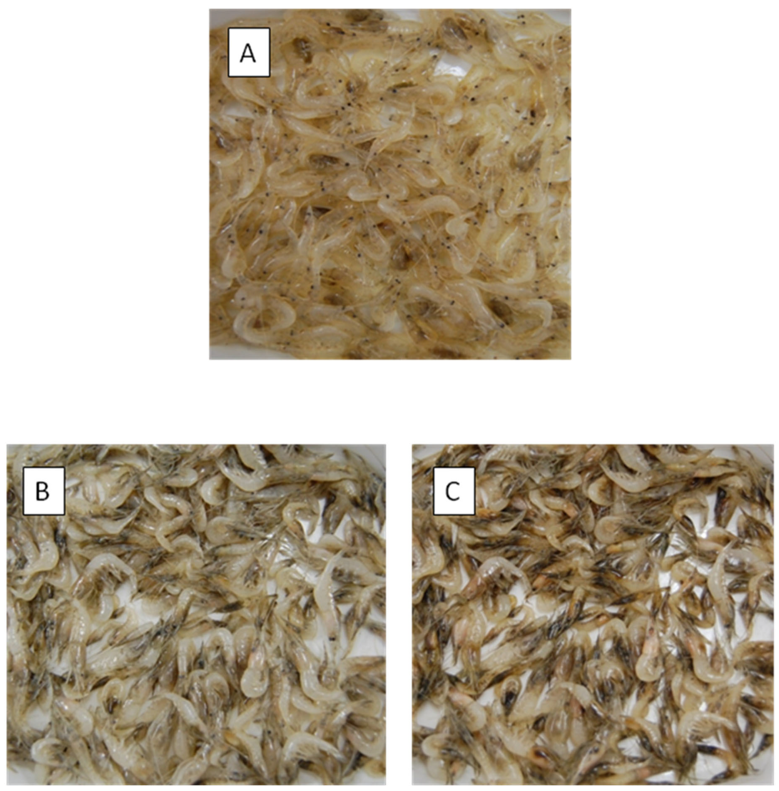 Antioxidants 10 00728 g002 Antioxidants 10 00728 g002