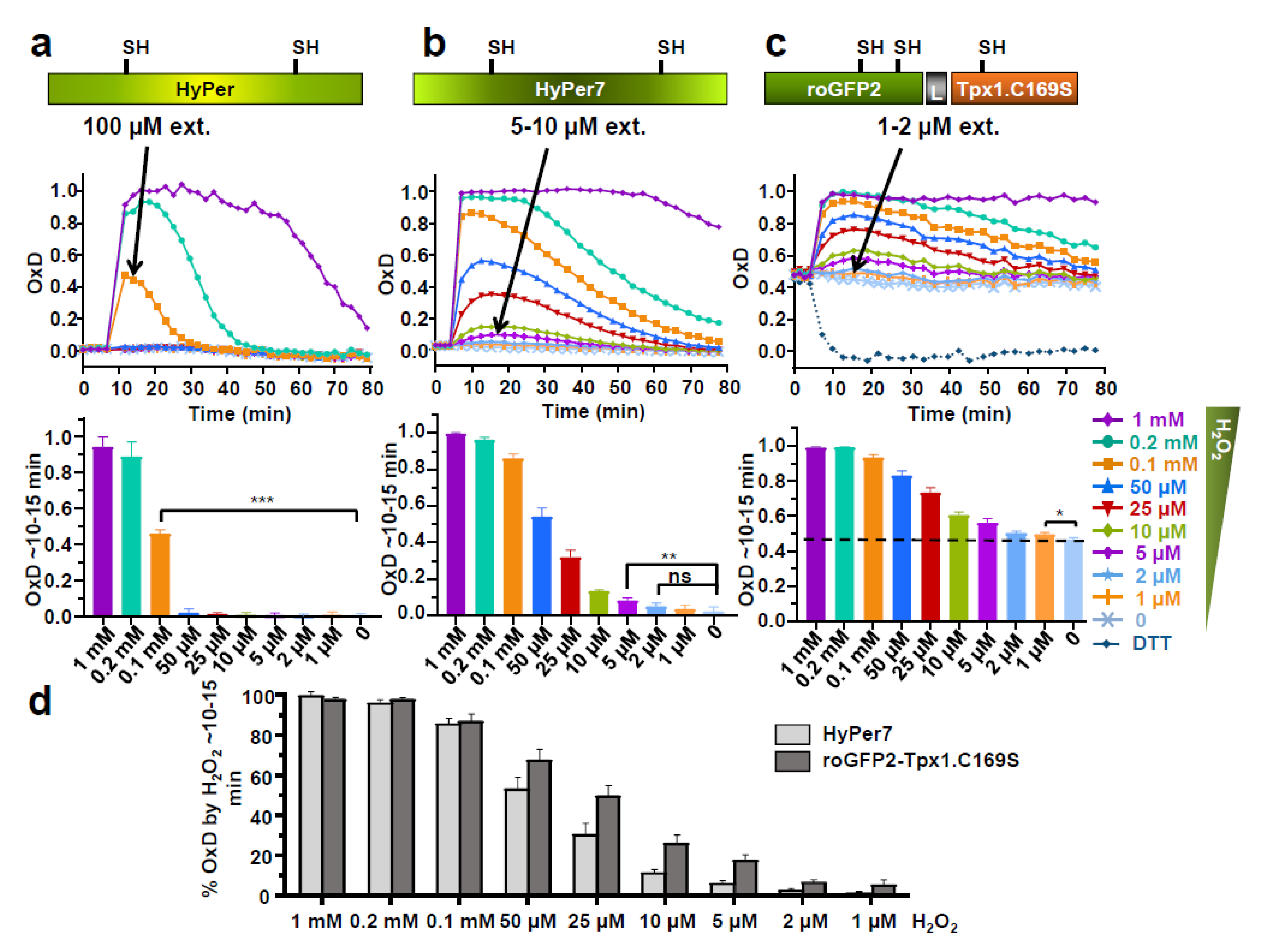 Antioxidants 10 00731 g001
