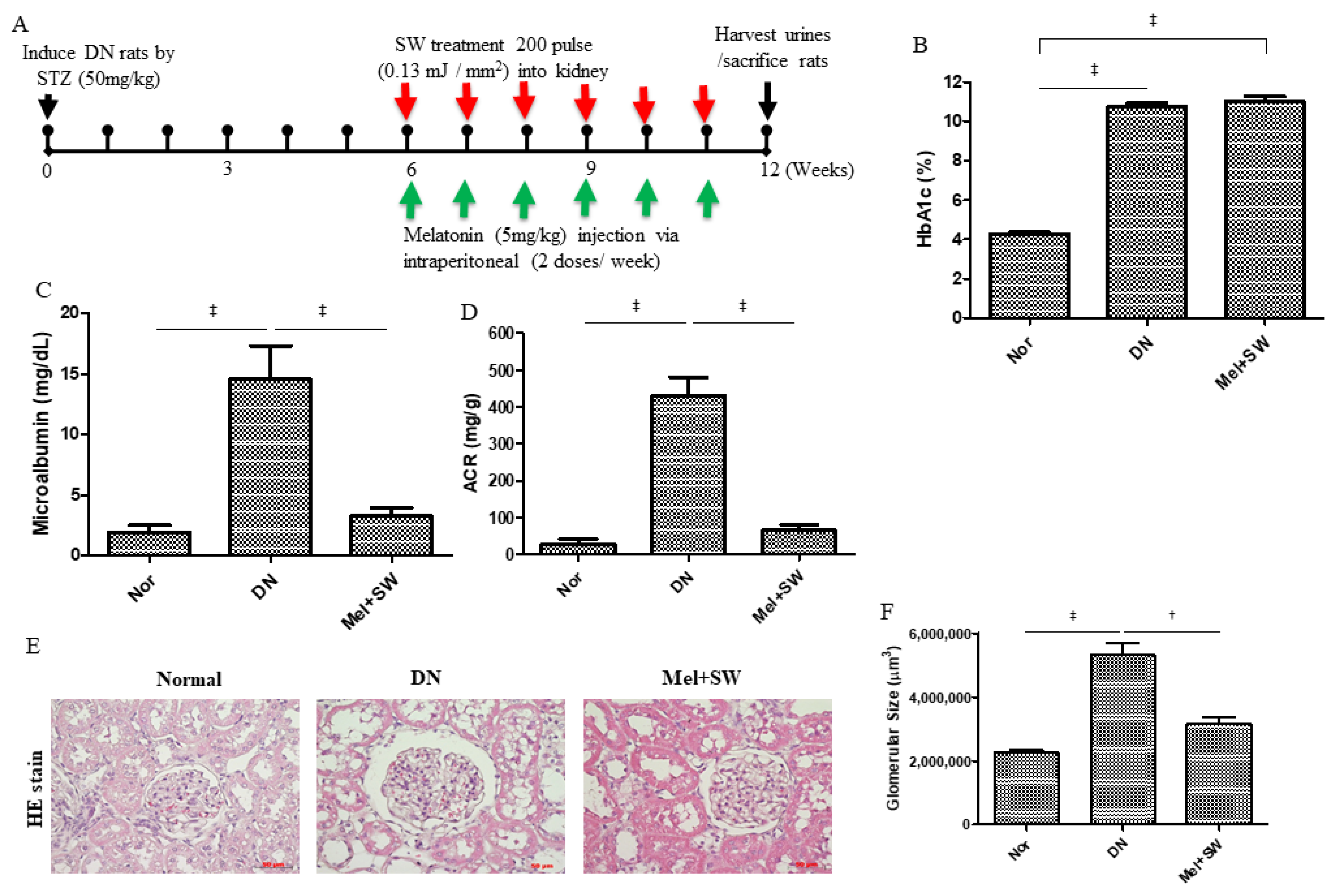 Antioxidants 10 00733 g001