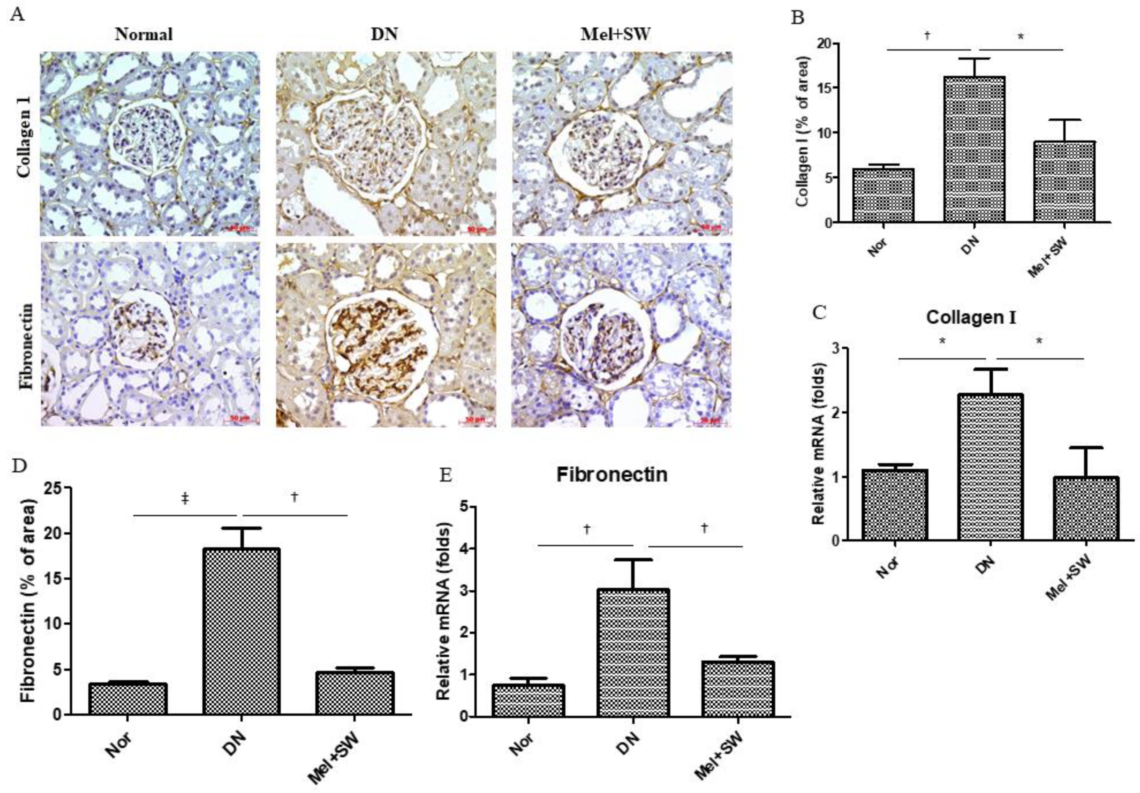 Antioxidants 10 00733 g002