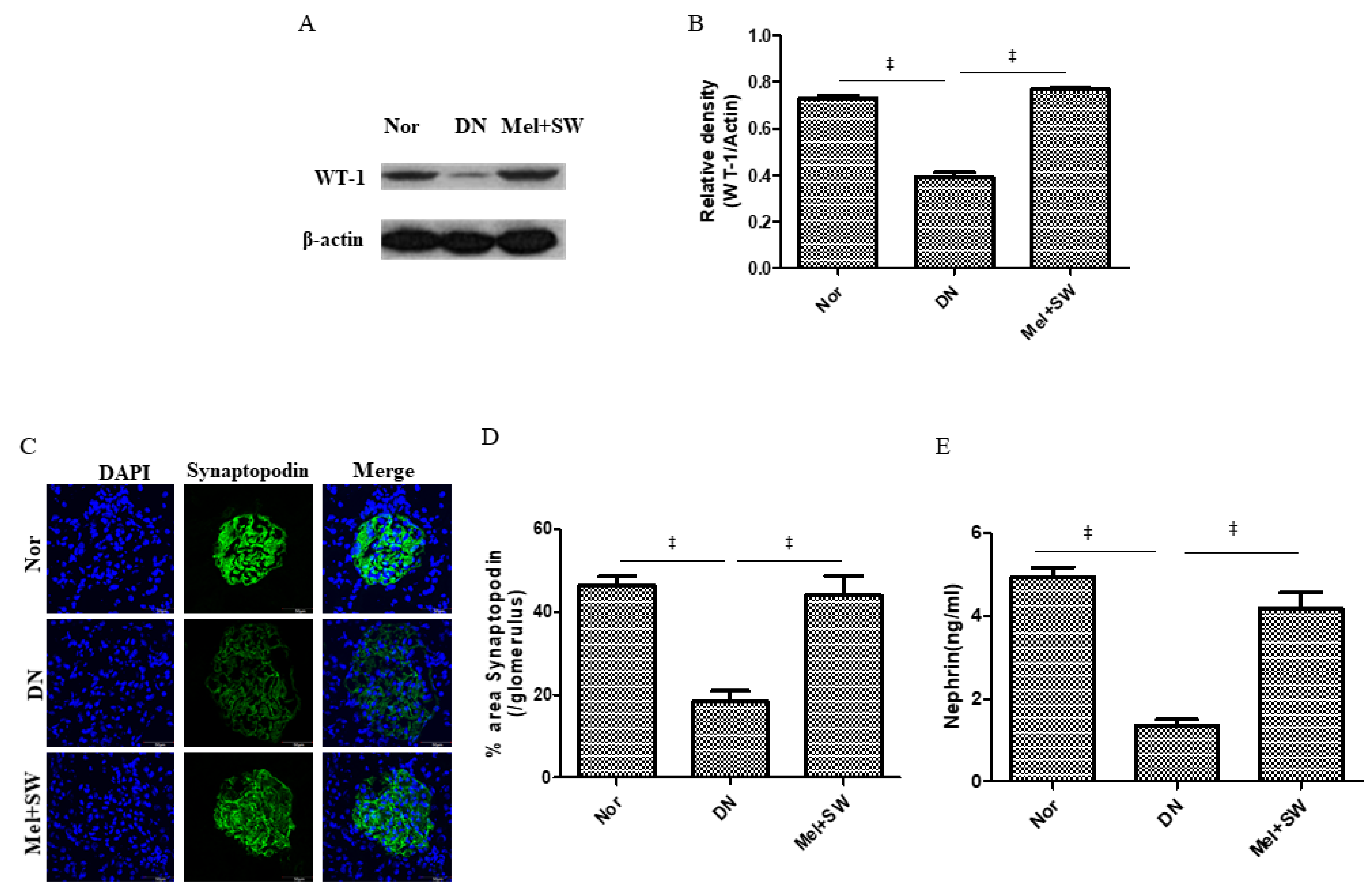 Antioxidants 10 00733 g003