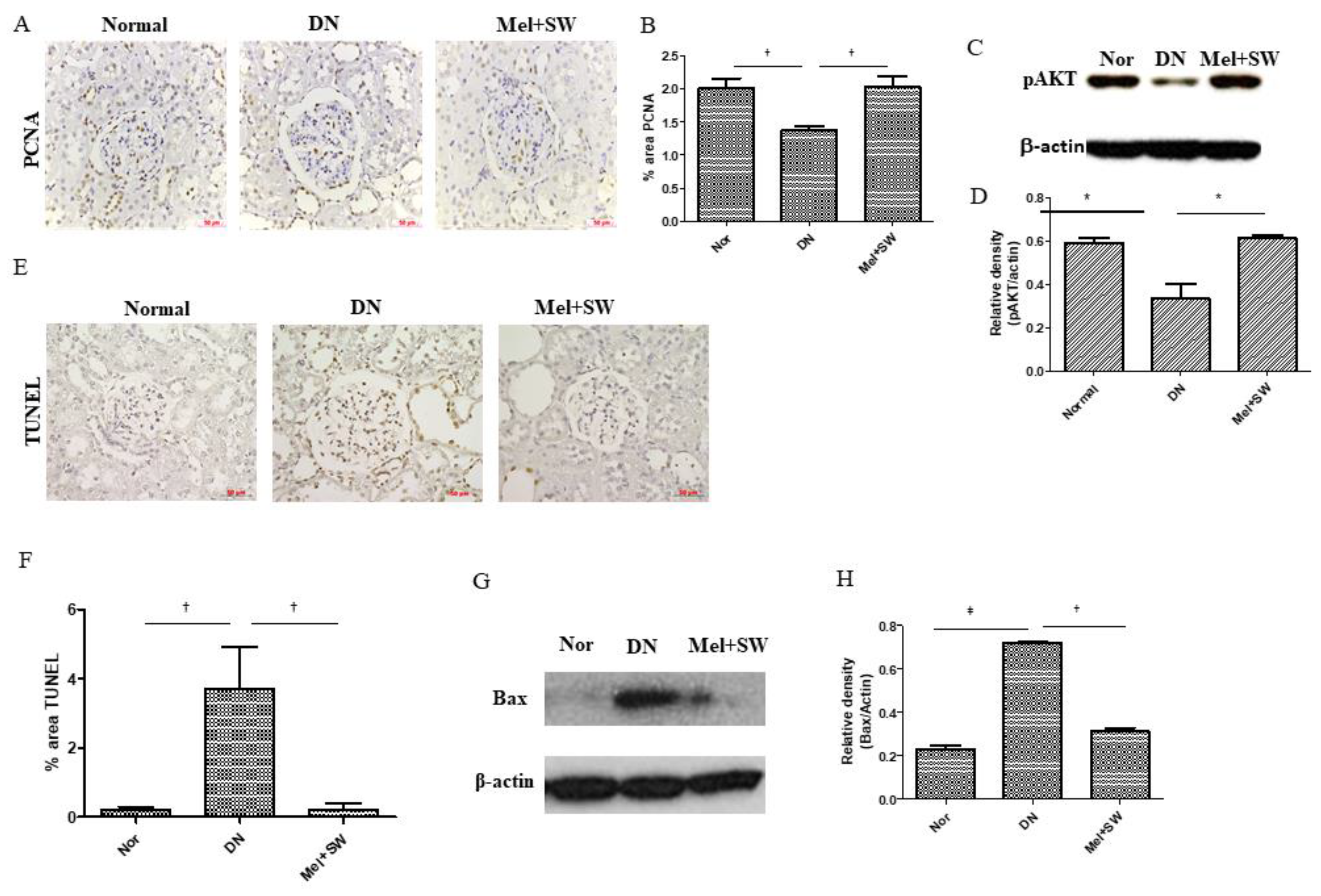 Antioxidants 10 00733 g004