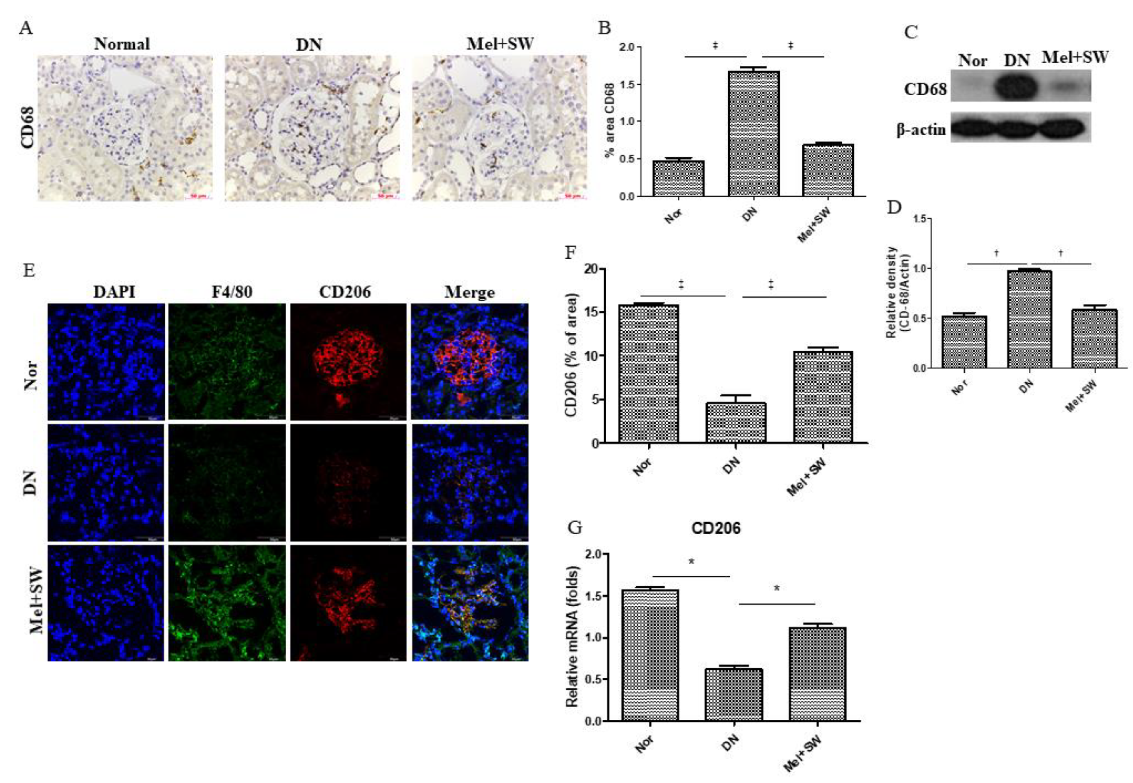 Antioxidants 10 00733 g006