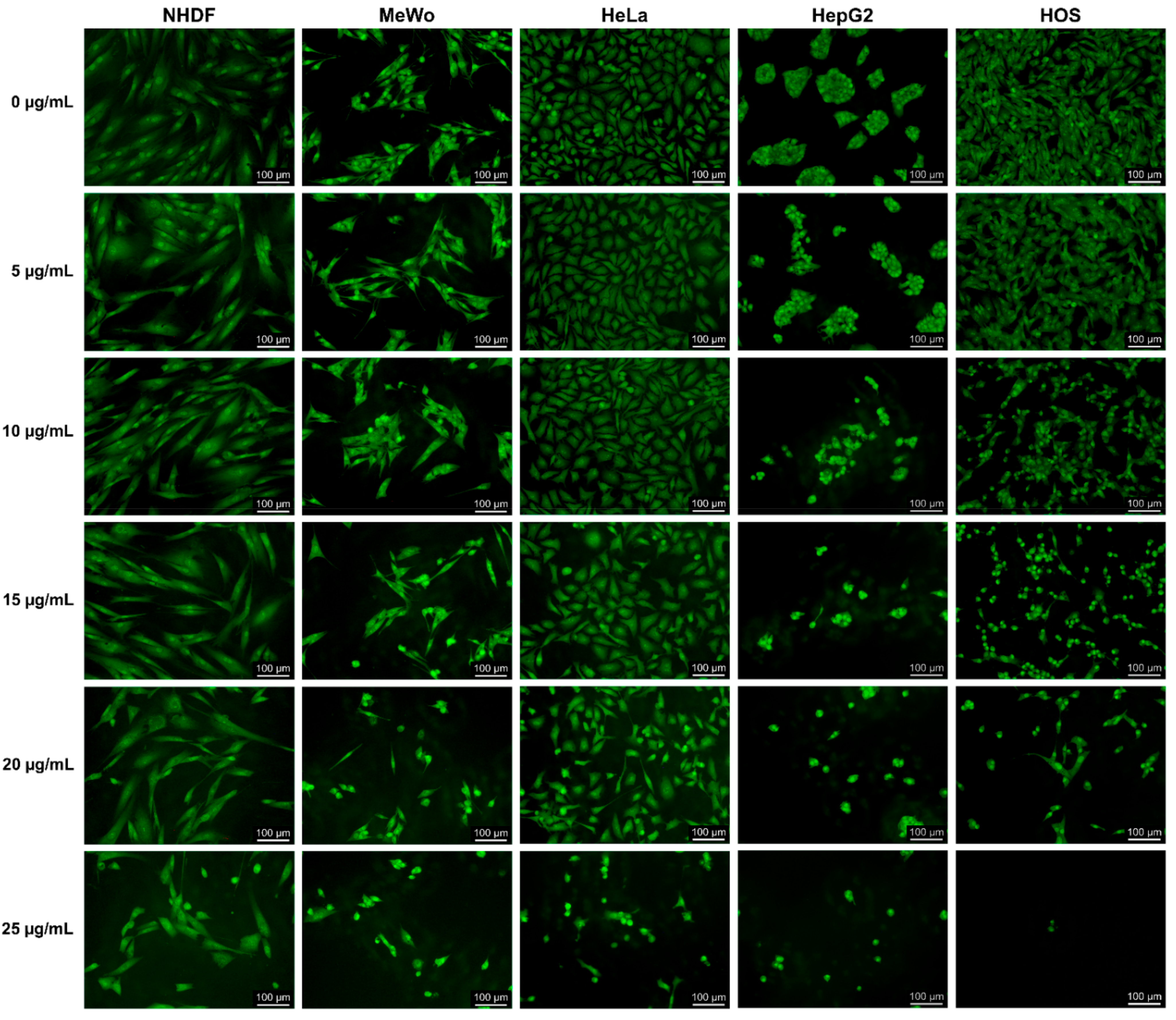 Antioxidants 10 00738 g008