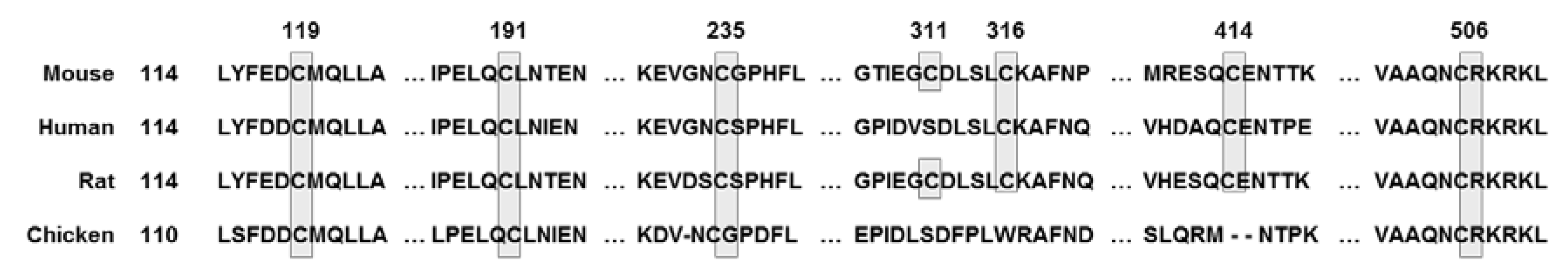 Antioxidants 10 00743 g002