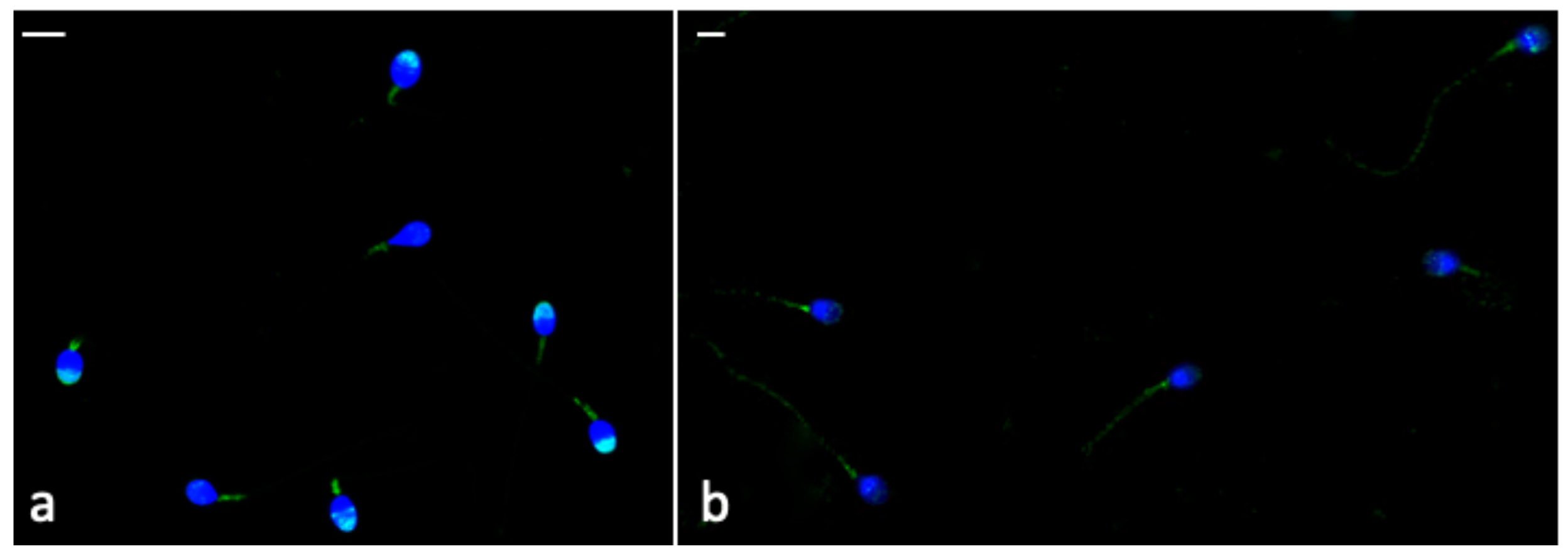 Antioxidants 10 00744 g006 Antioxidants 10 00744 g006