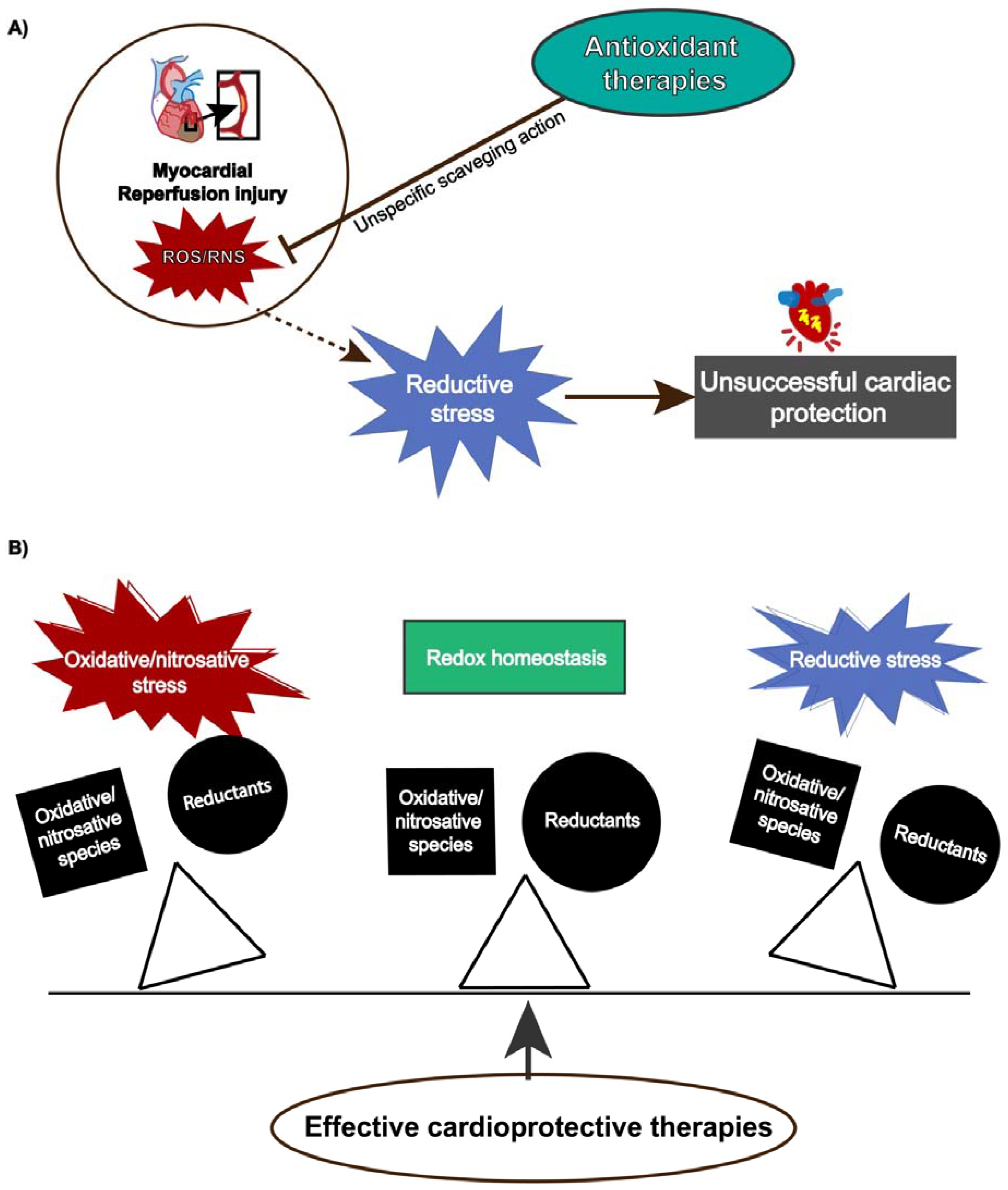 Antioxidants 10 00749 g003