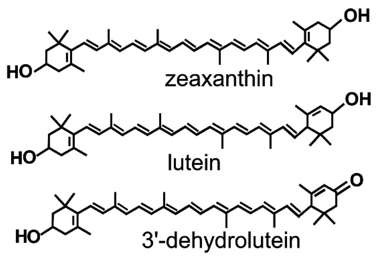 Antioxidants 10 00753 g001