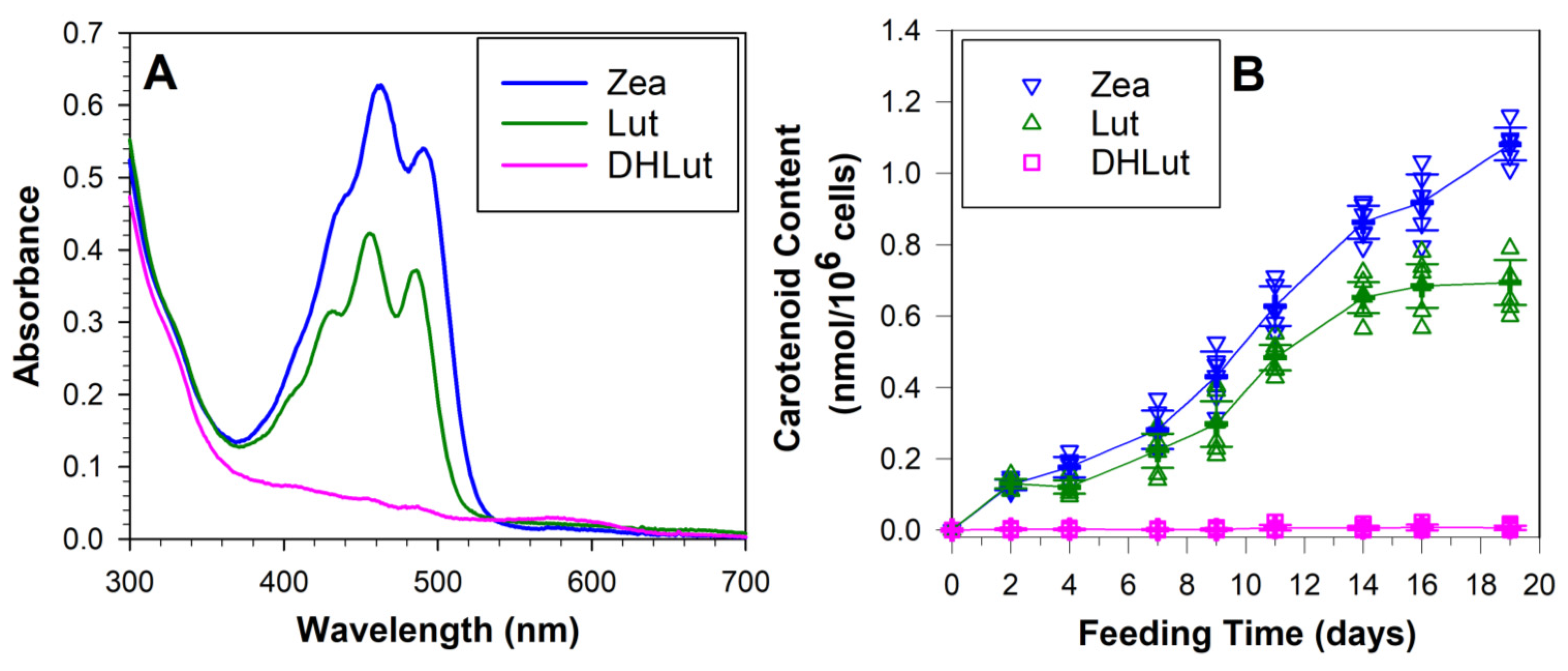 Antioxidants 10 00753 g005