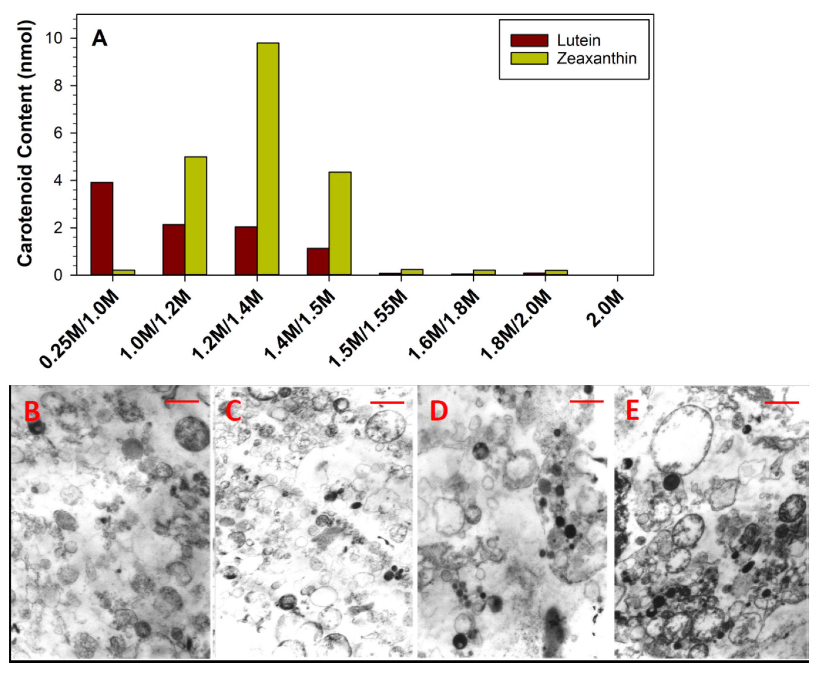 Antioxidants 10 00753 g008