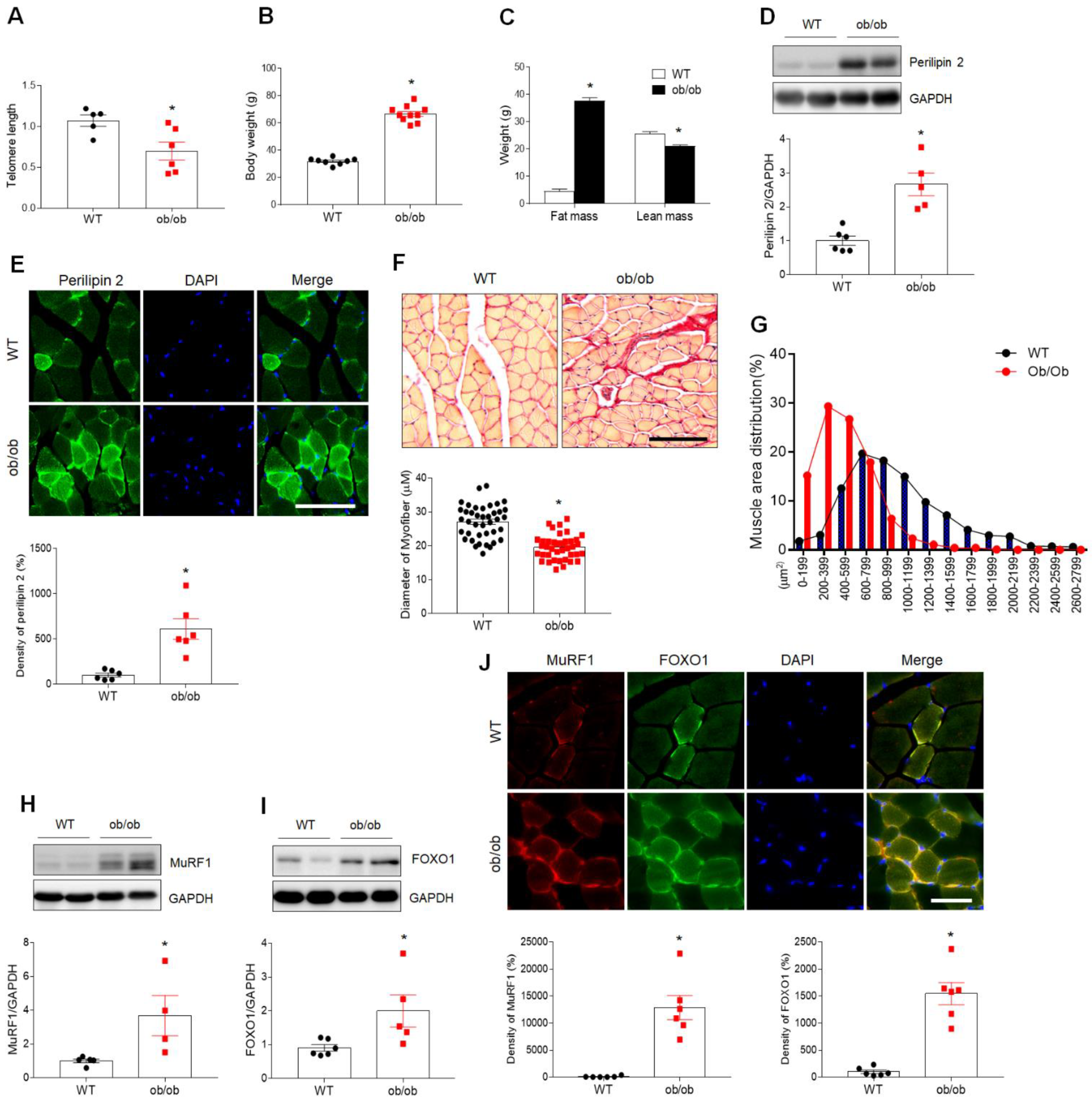 Antioxidants 10 00758 g001 Antioxidants 10 00758 g001