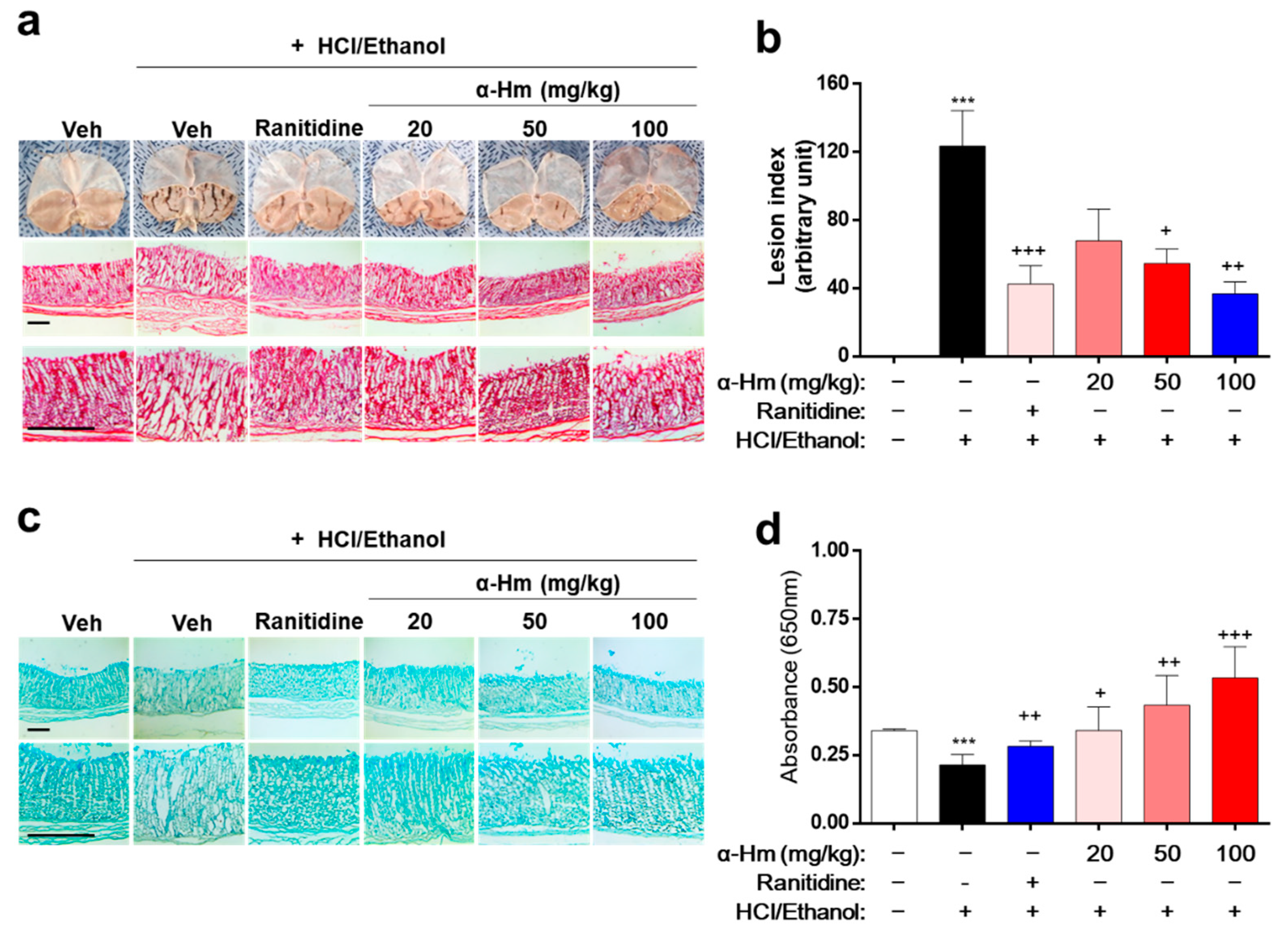 Antioxidants 10 00761 g001