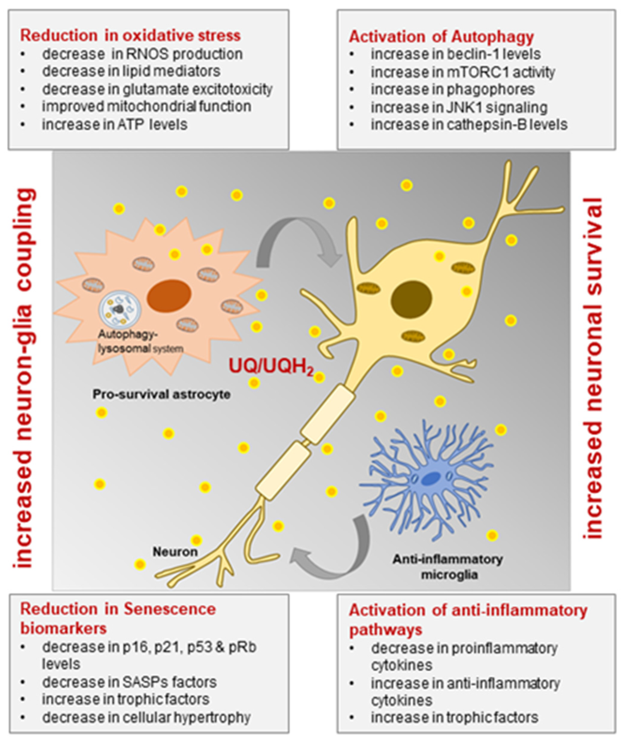 Antioxidants 10 00764 g004