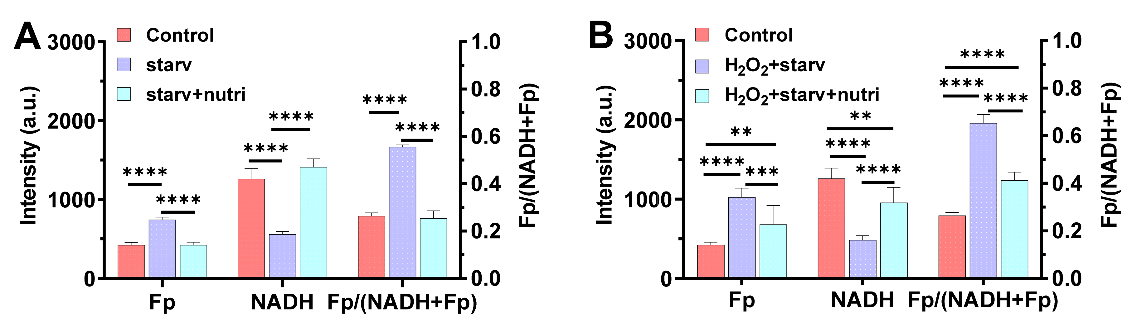Antioxidants 10 00767 g005