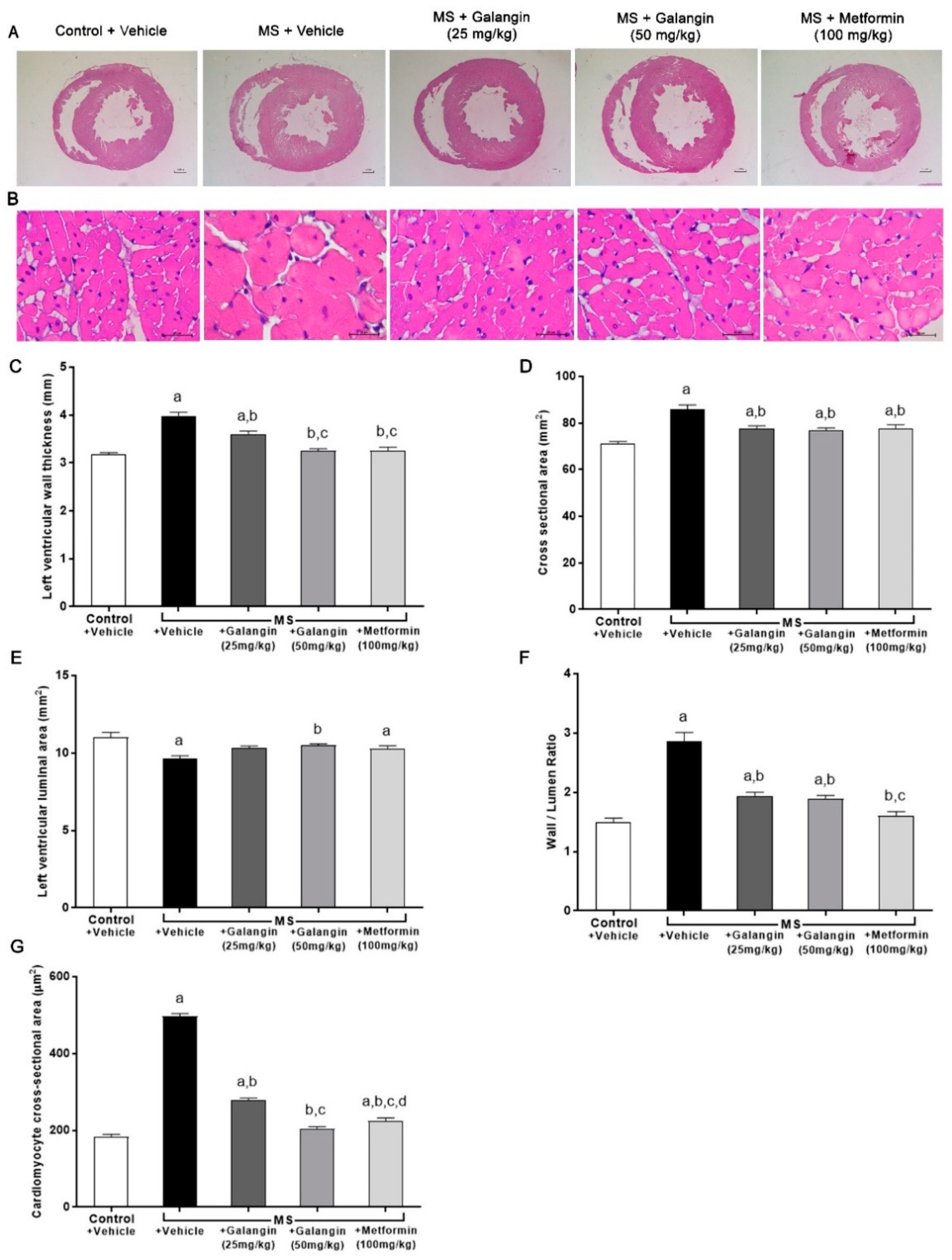 Antioxidants 10 00769 g004 Antioxidants 10 00769 g004