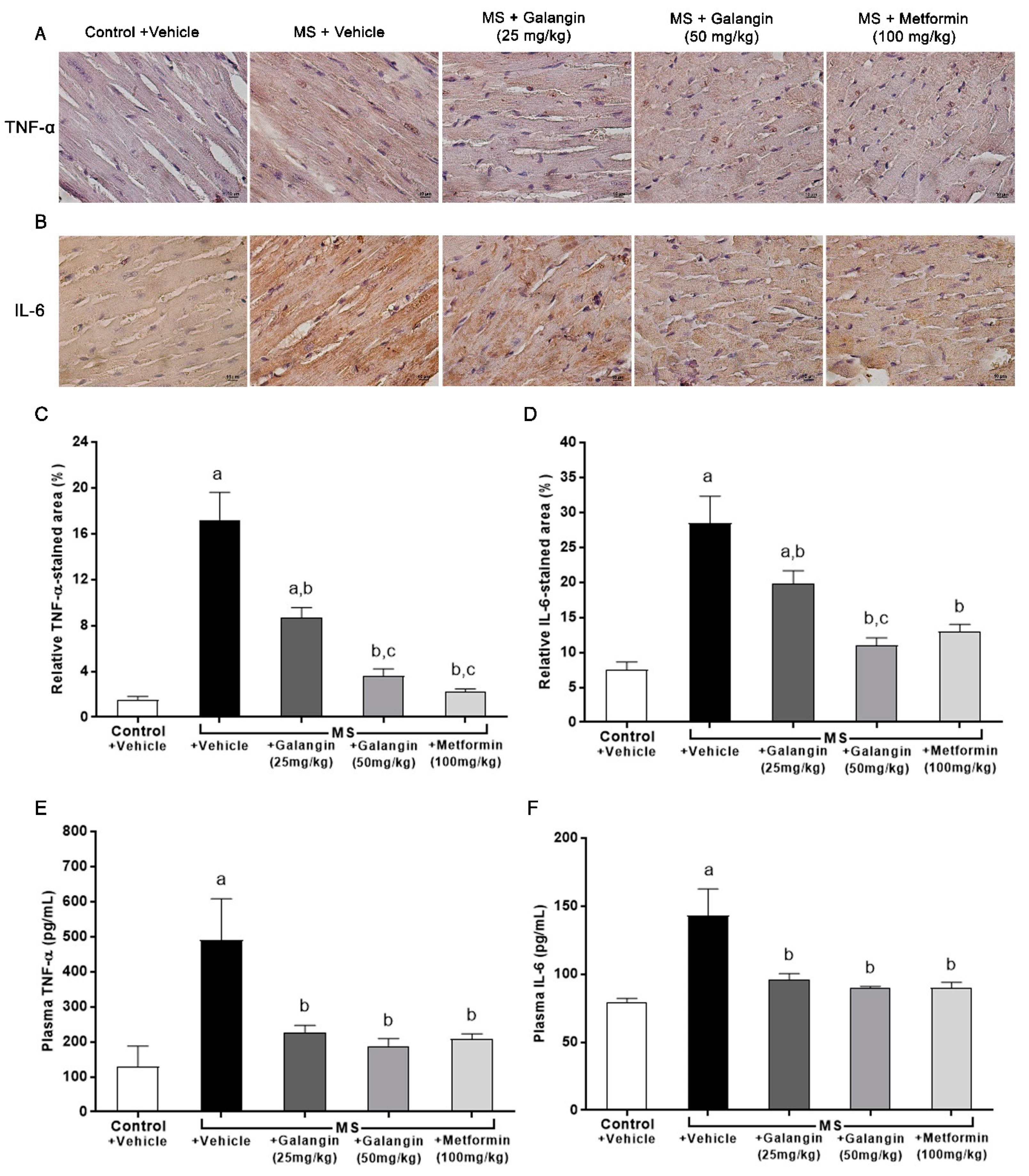 Antioxidants 10 00769 g005 Antioxidants 10 00769 g005