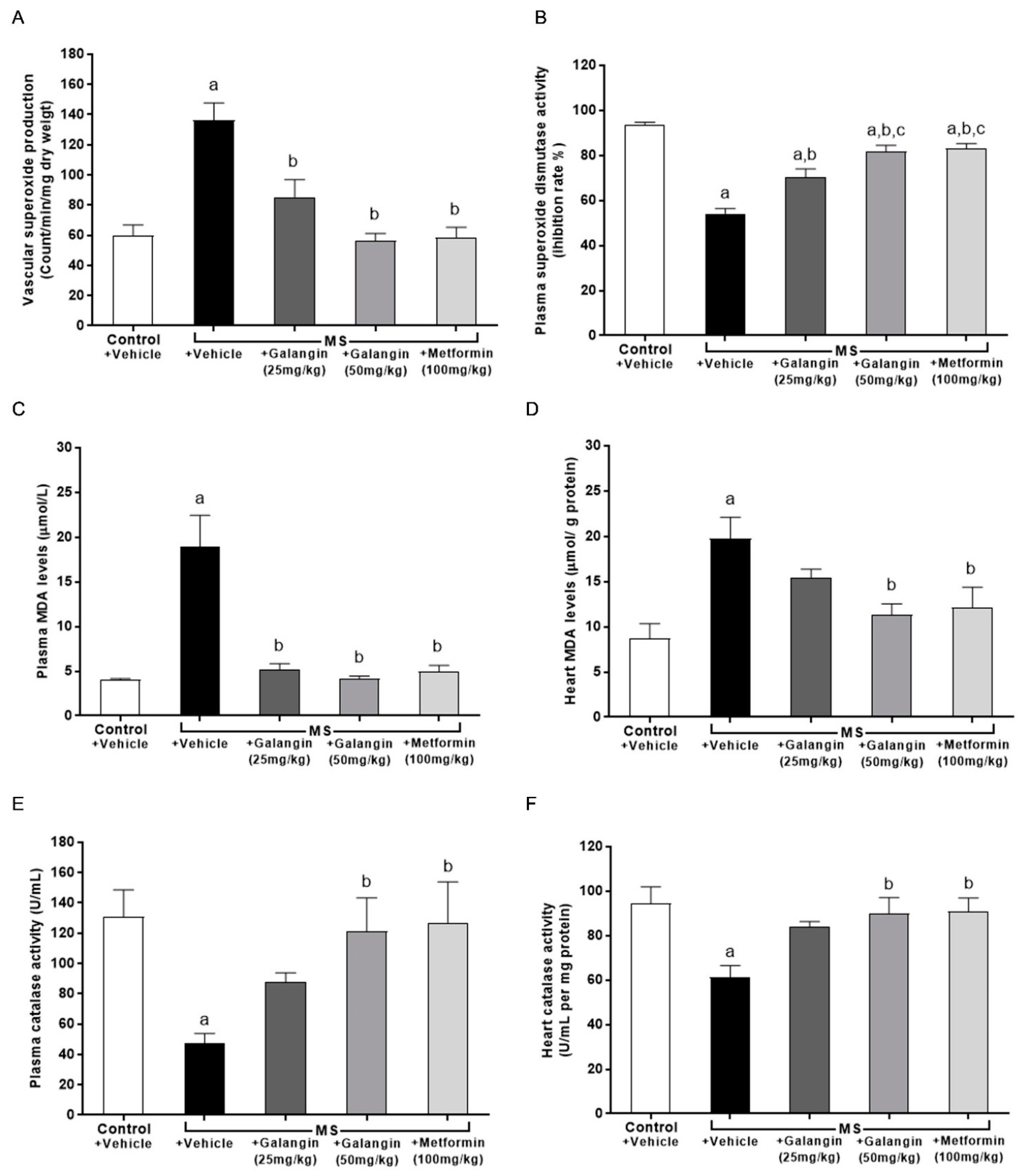 Antioxidants 10 00769 g007 Antioxidants 10 00769 g007