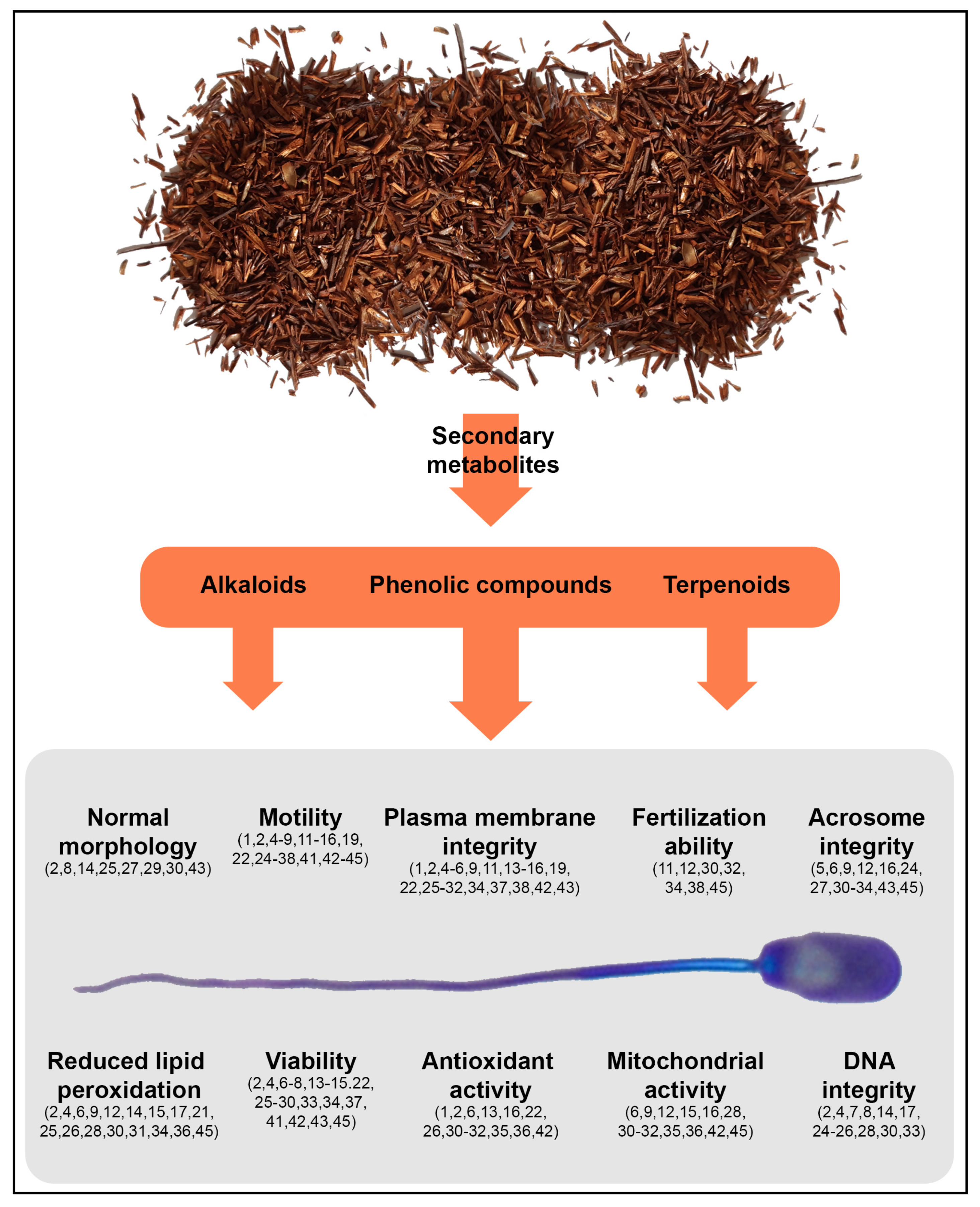 Antioxidants 10 00772 g002 Antioxidants 10 00772 g002
